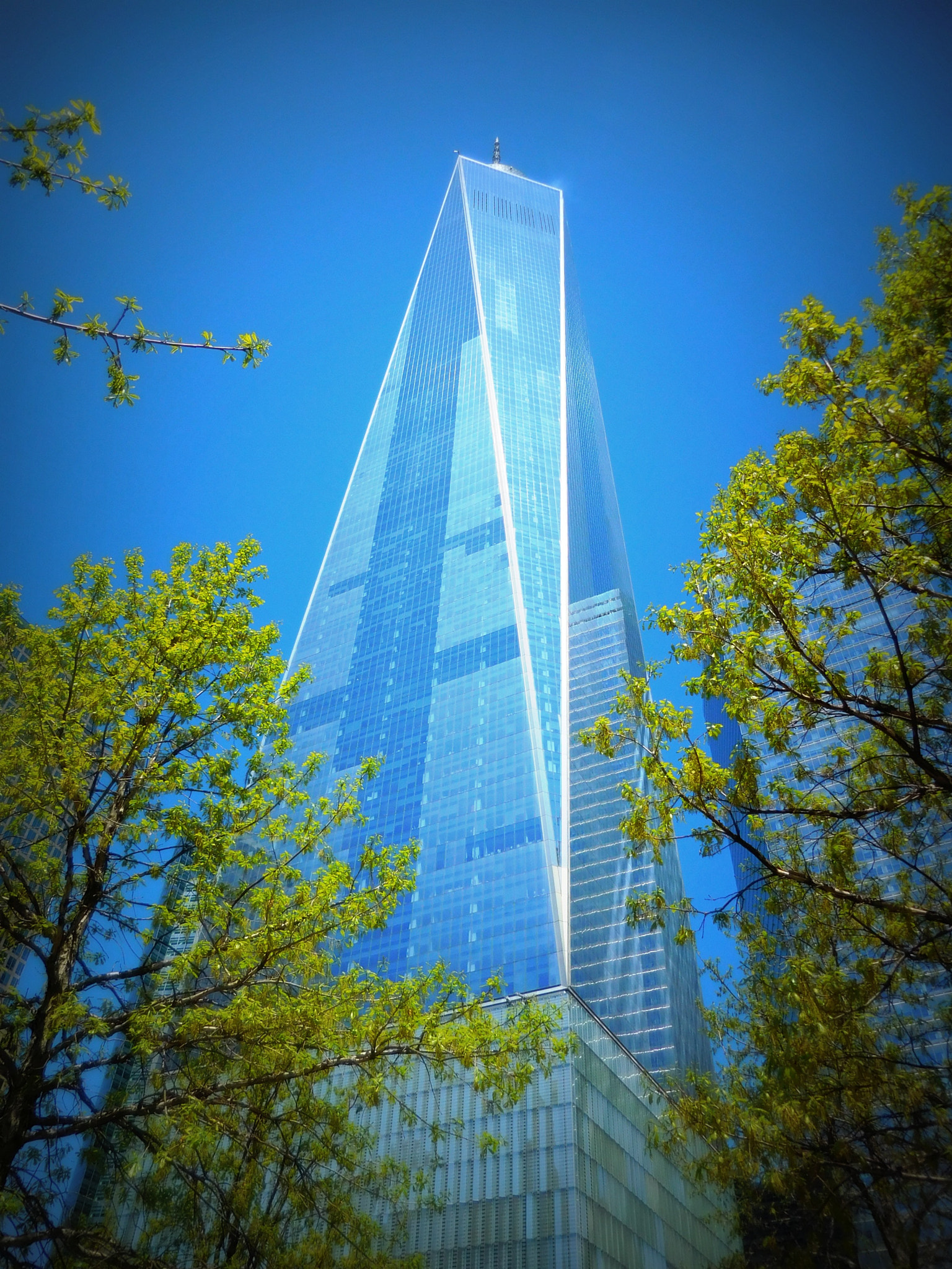 Nikon Coolpix S6900 sample photo. One world trade center photography