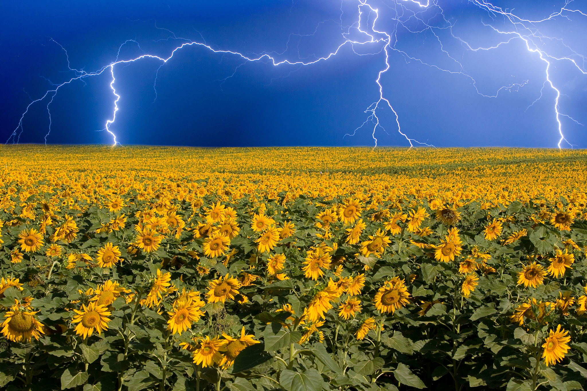 Canon EF 70-200mm F2.8L IS USM sample photo. Thunderstorm on the horizon photography