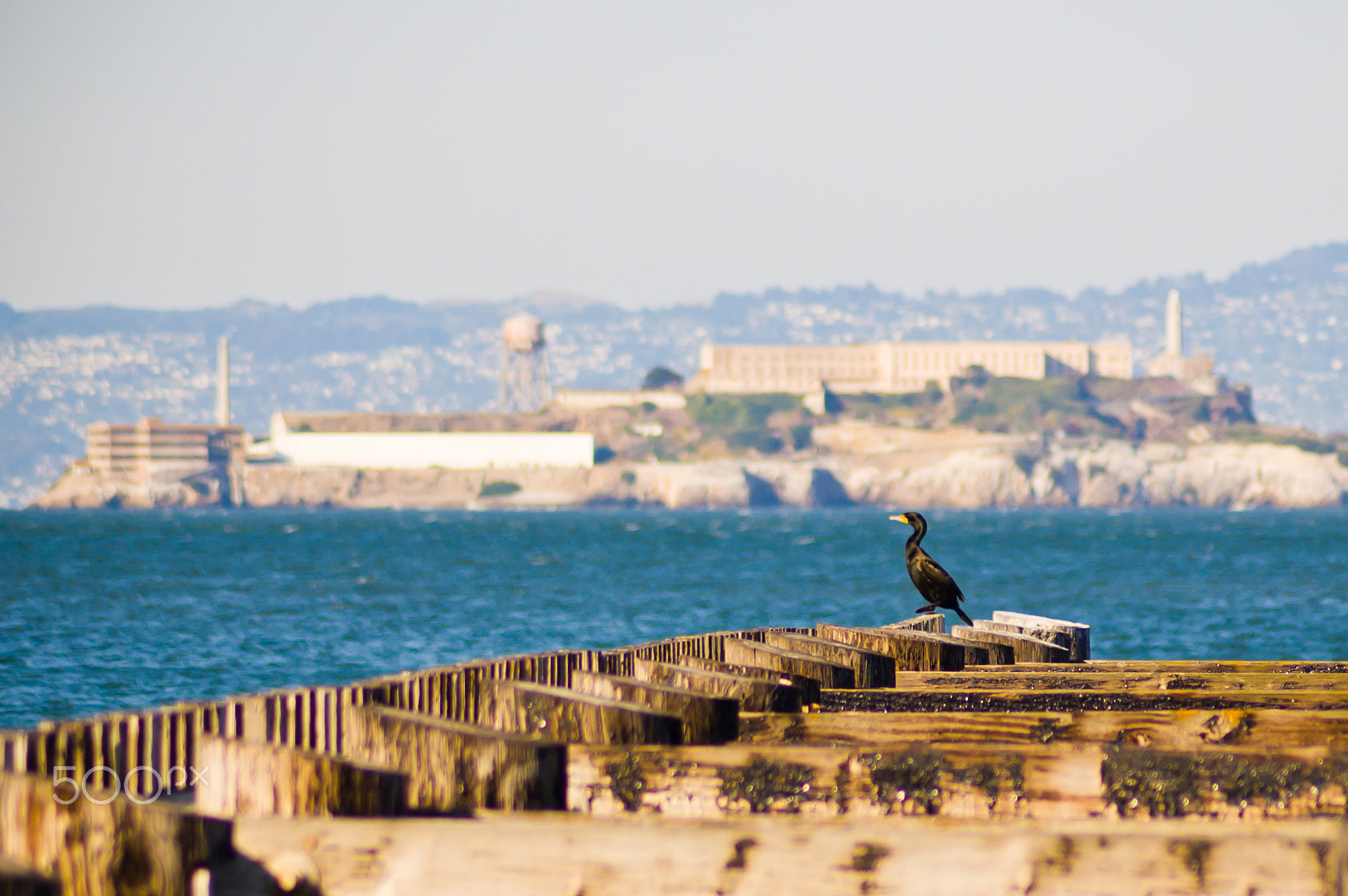 Nikon D50 + Tamron SP 70-300mm F4-5.6 Di VC USD sample photo. Alcatraz photography