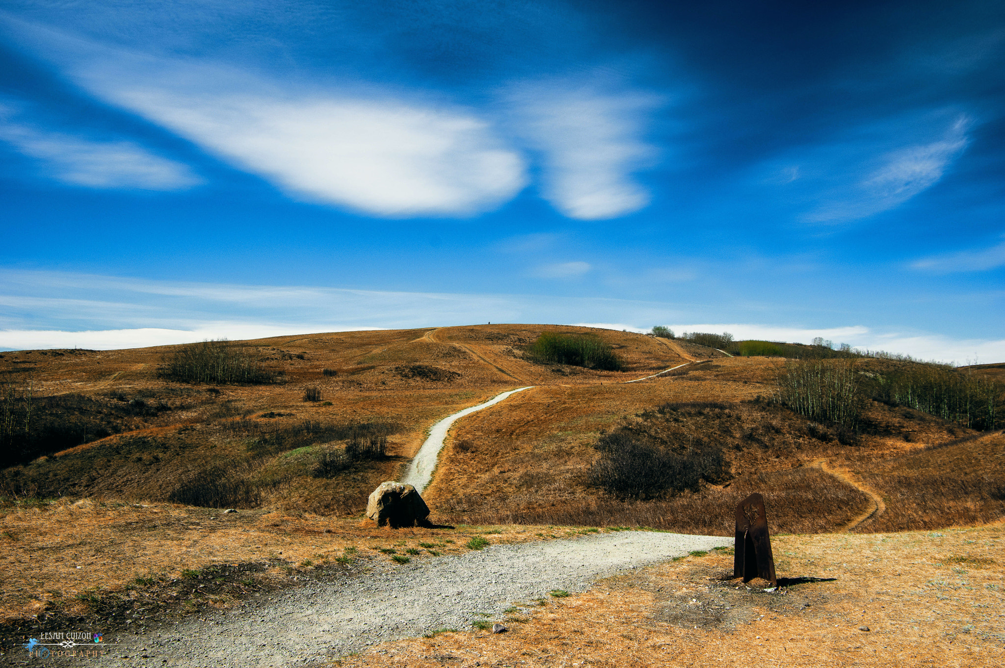 Pentax K-3 + Pentax smc DA 16-45mm F4 ED AL sample photo. Nose hill park calgary photography