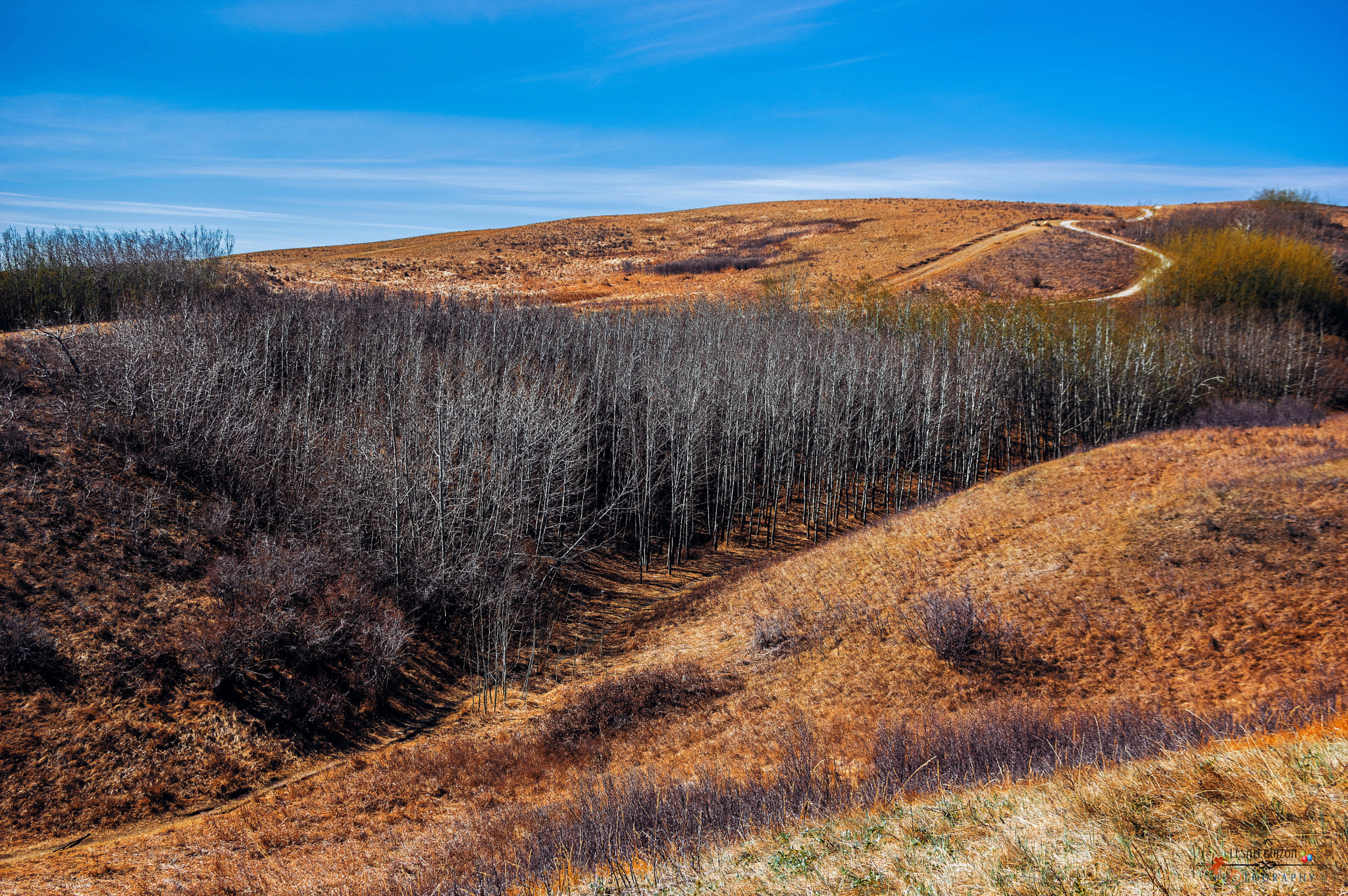 Pentax smc DA 16-45mm F4 ED AL sample photo. Nose hill park calgary photography