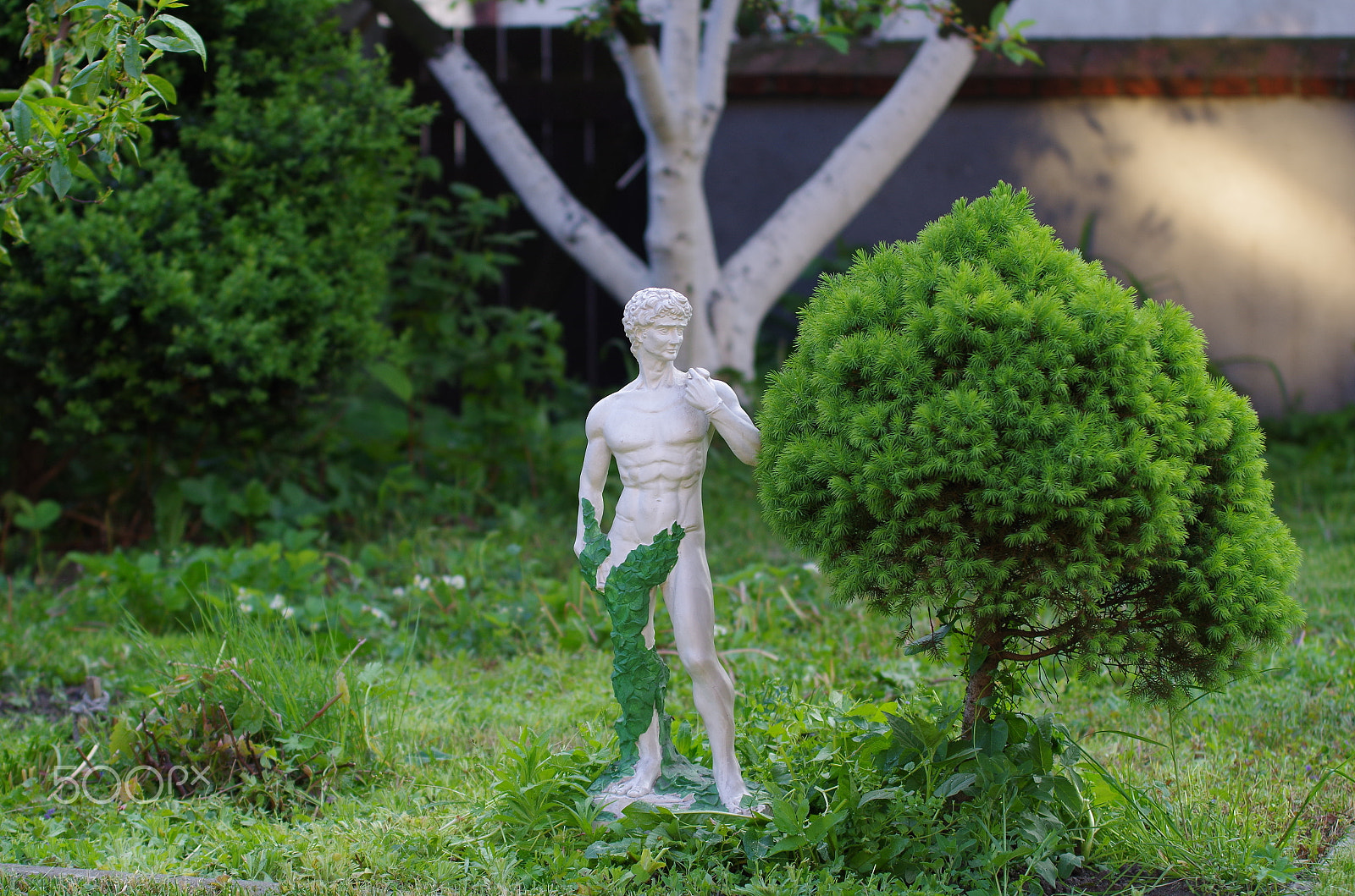 Pentax K-50 sample photo. My garden gnome ;-) photography