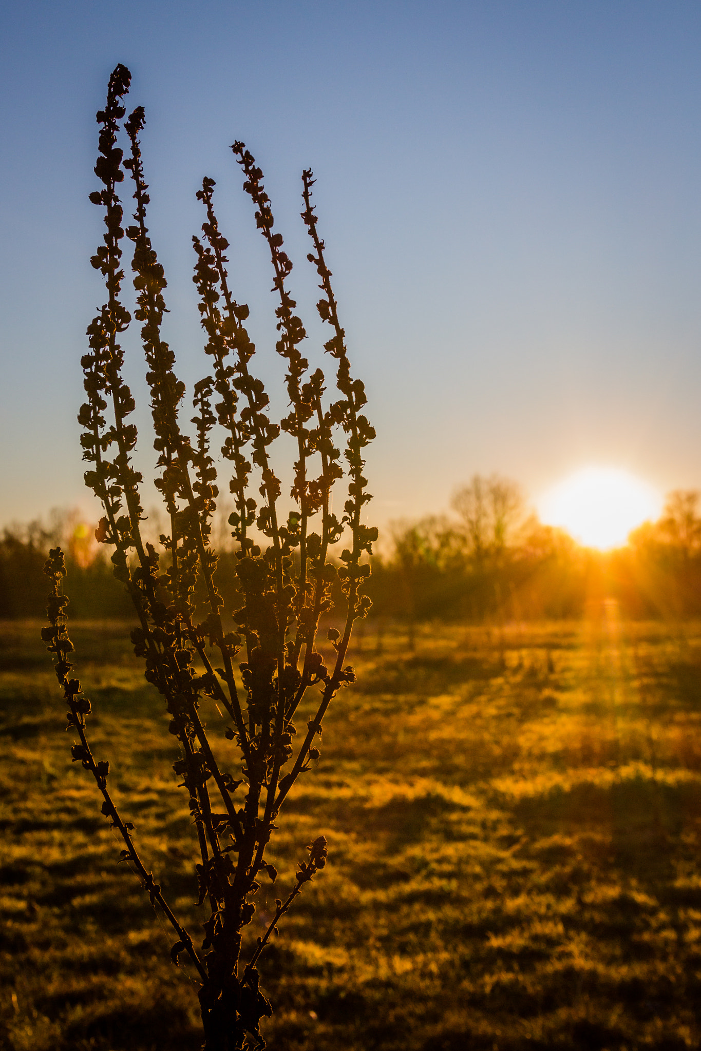 Sigma 24-105mm f/4 DG OS HSM | A sample photo. Sunset photography