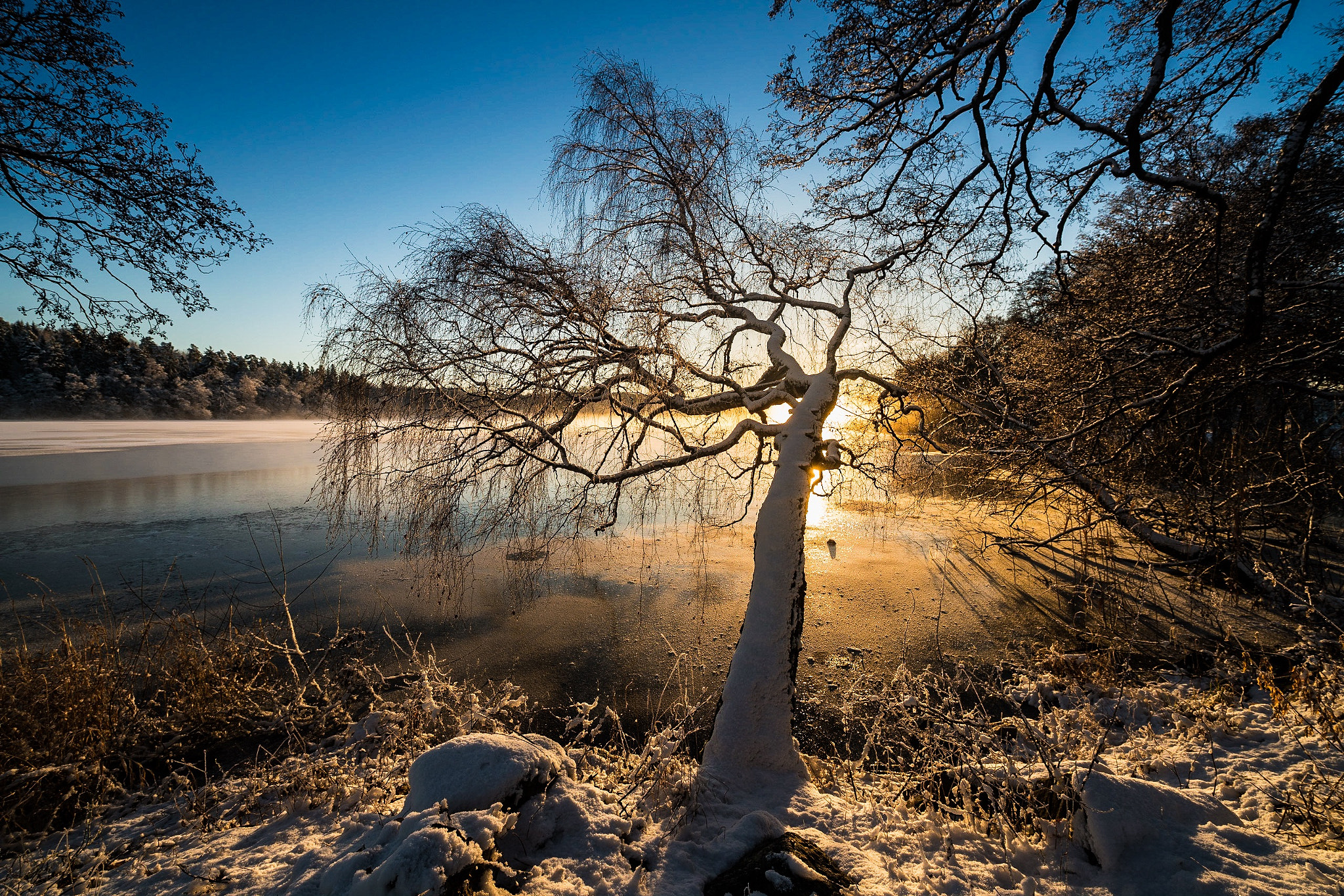 15mm F2.8 sample photo. We had warmer winter days! photography