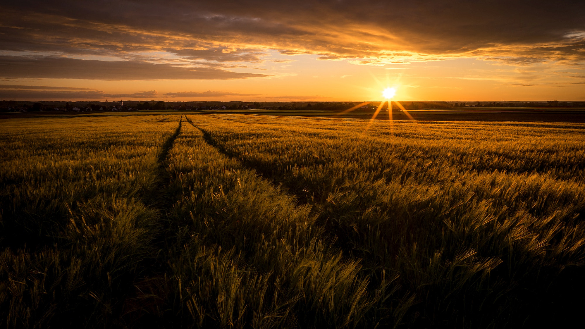 Sony a7 + E 21mm F2.8 sample photo. Fields of gold photography