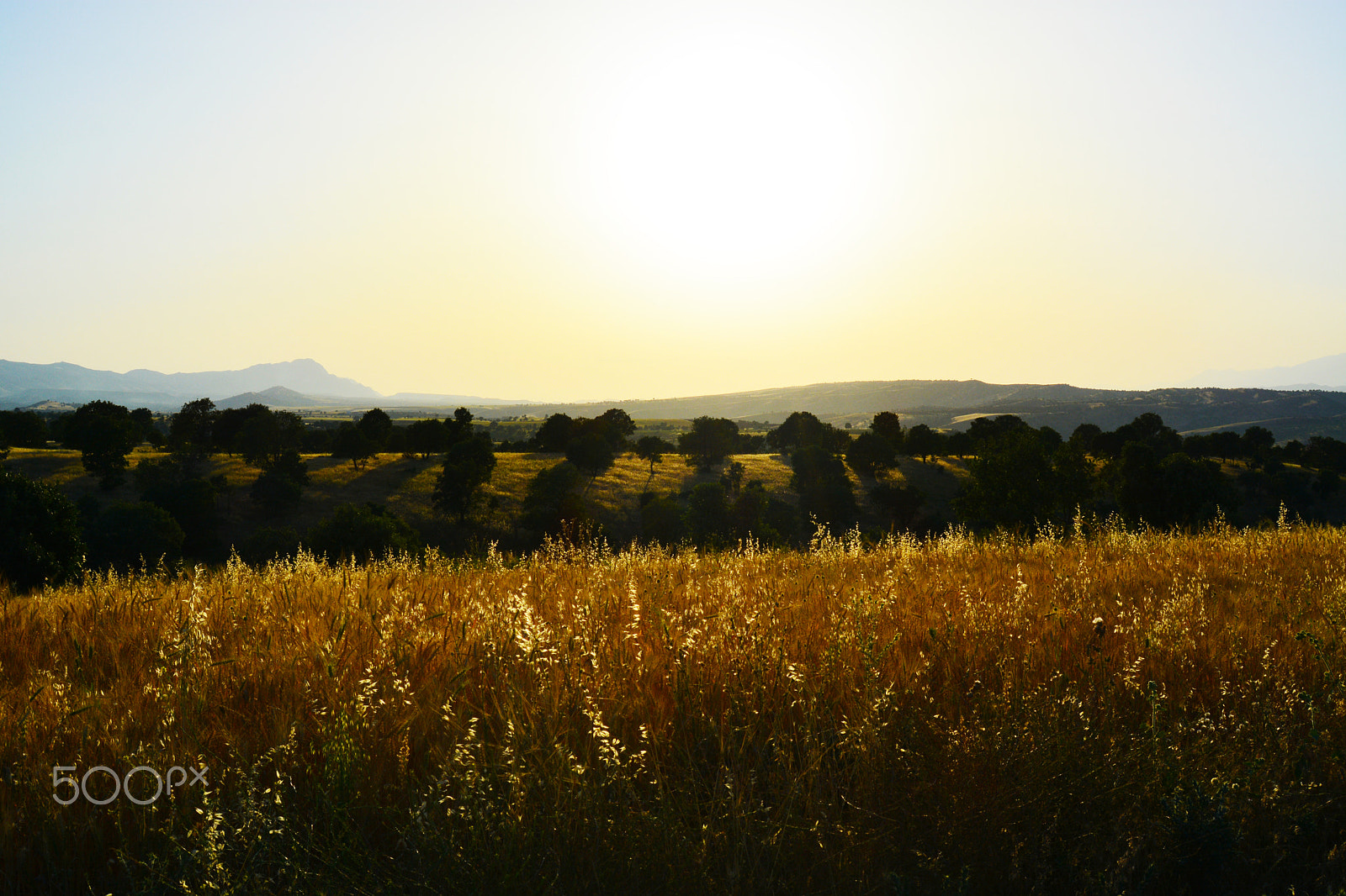 AF Zoom-Nikkor 28-80mm f/3.3-5.6G sample photo. Zakho photography