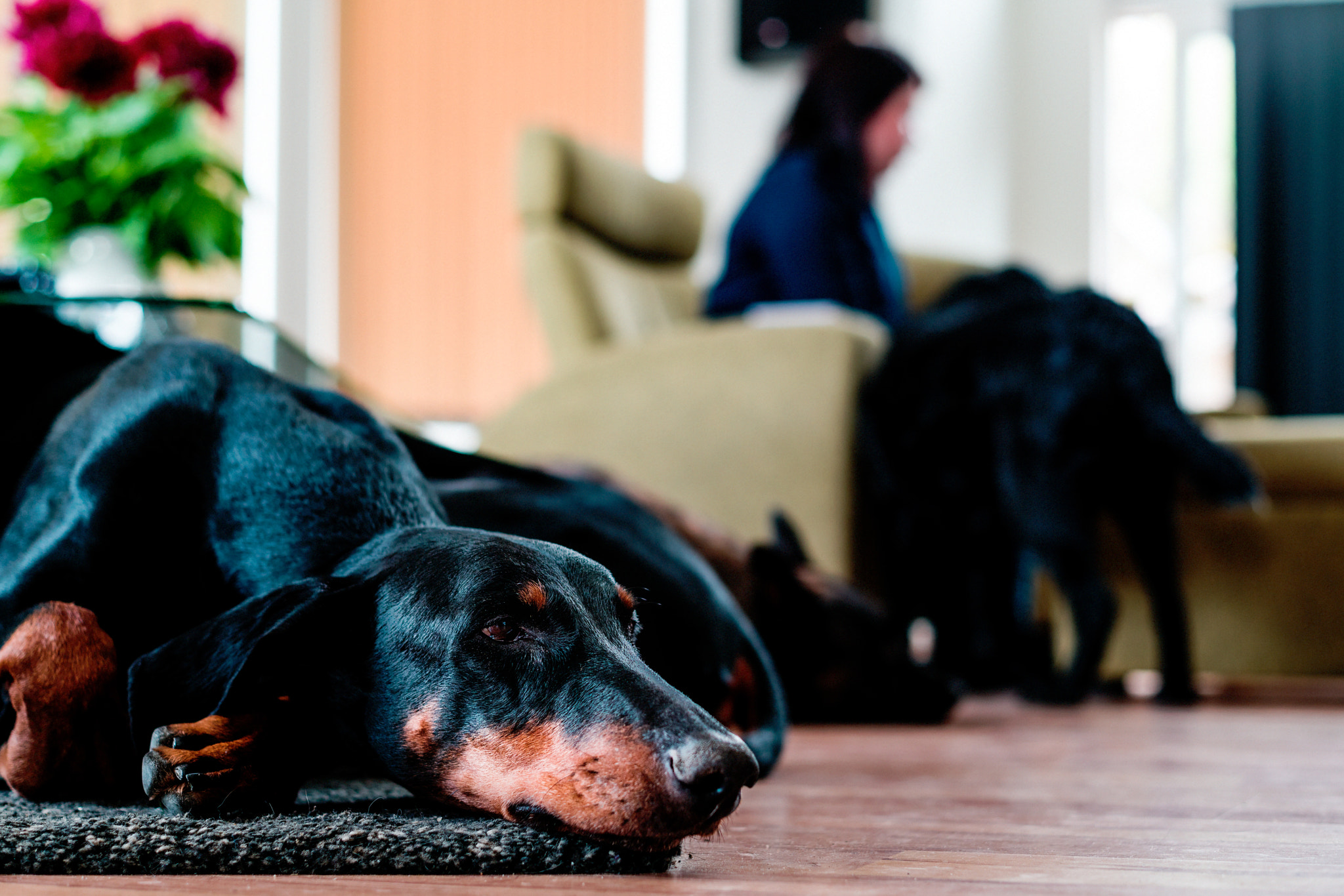 E 50mm F2 sample photo. Bored photography