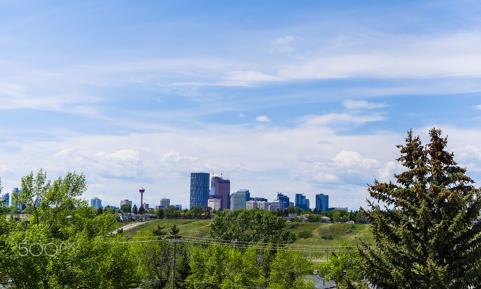 Panasonic Lumix DMC-GX8 + LUMIX G 25/F1.7 sample photo. Shot of yyc photography