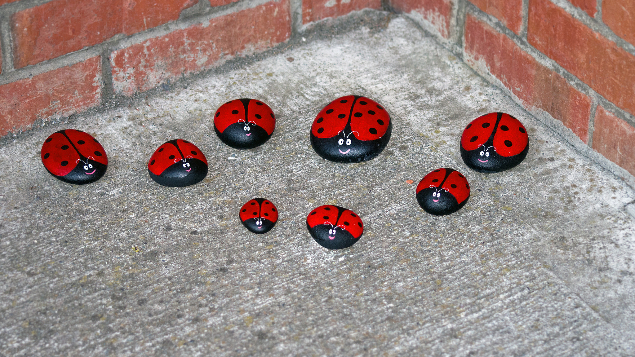Sigma 70-200mm F2.8 EX DG Macro HSM II sample photo. Lady birds photography