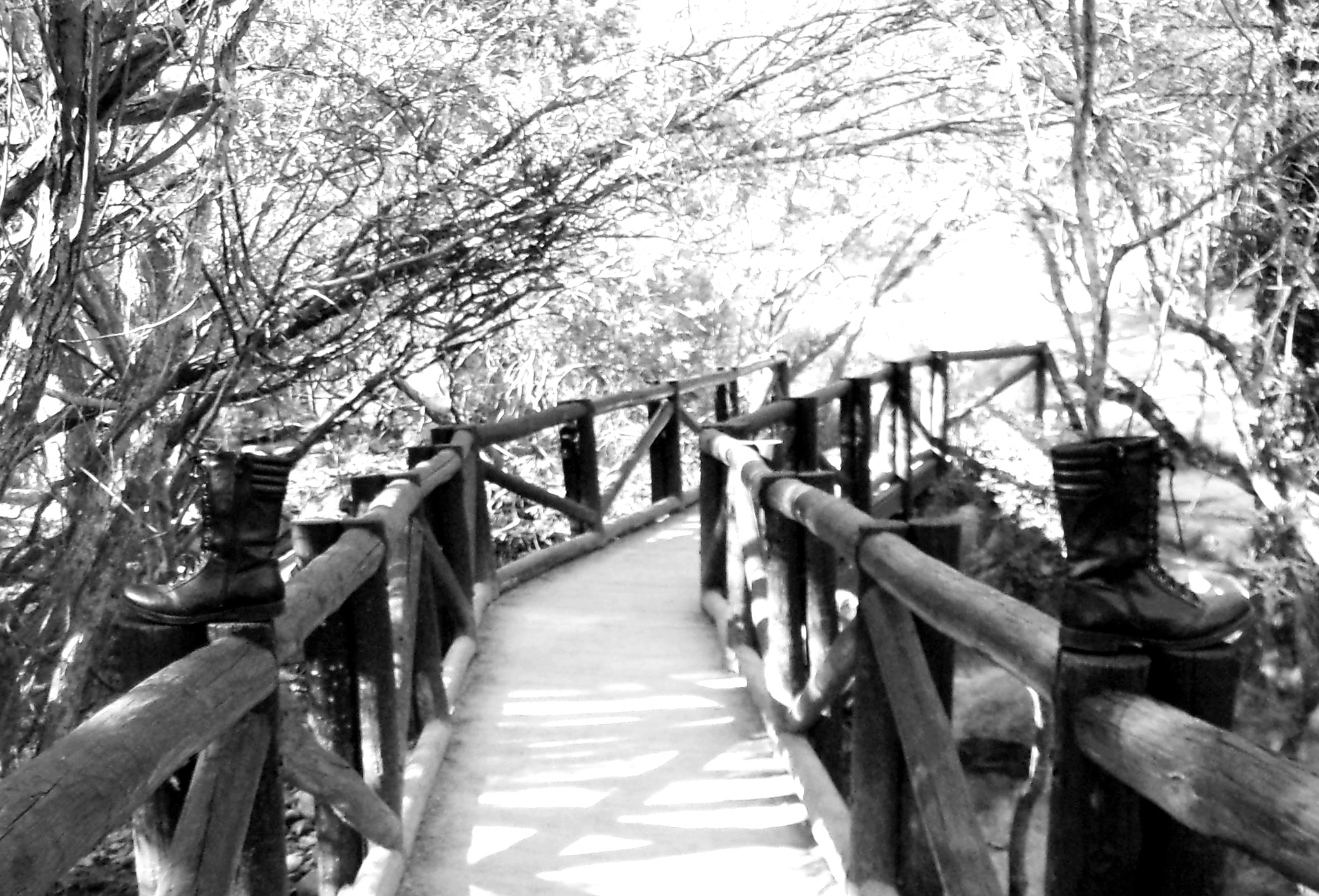 JK KODAK PIXPRO AZ421 sample photo. Kodak digital still camera photography