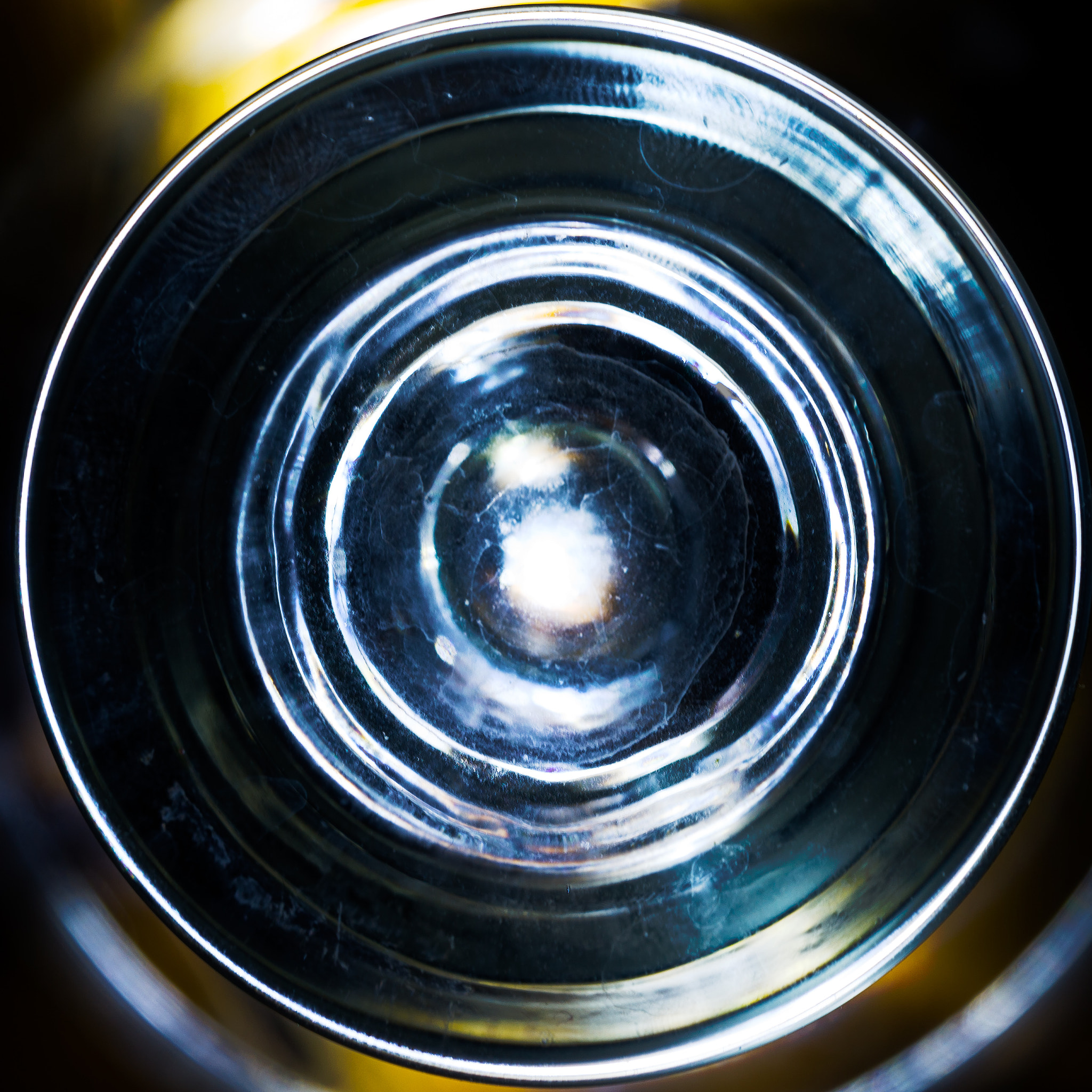 Sigma 150mm F2.8 EX DG Macro HSM sample photo. Through the looking glass photography
