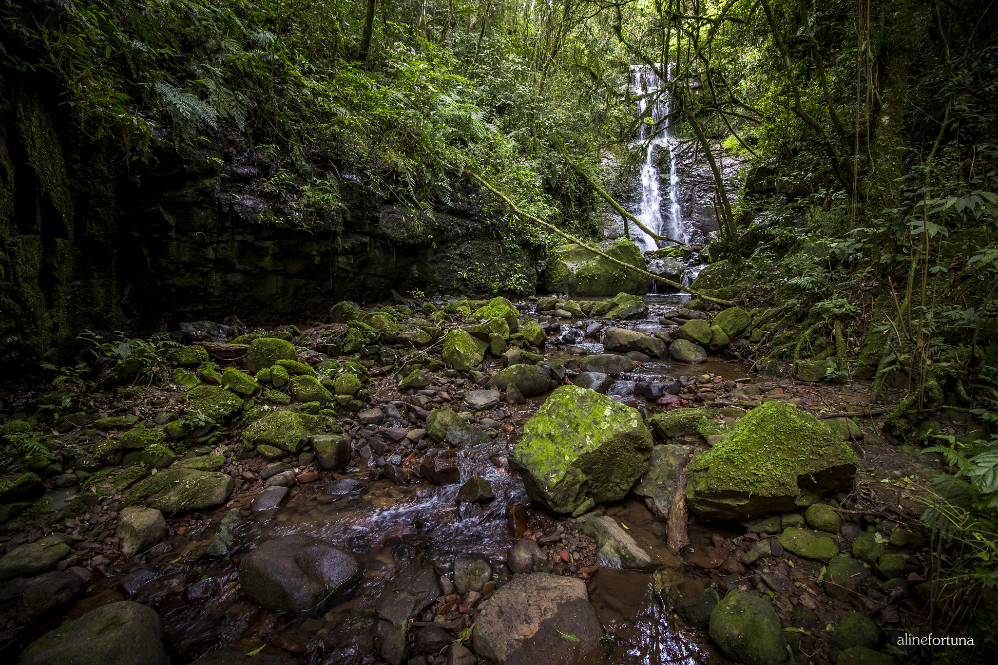 Canon EF-S 10-18mm F4.5–5.6 IS STM sample photo. Cachoeira da ferrovia do trigo photography