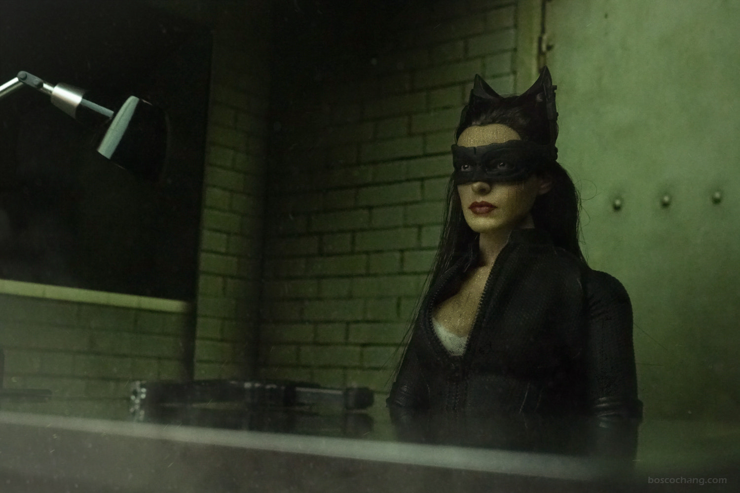 Sony a7R + Sony E 30mm F3.5 Macro sample photo. Catwoman interrogating photography