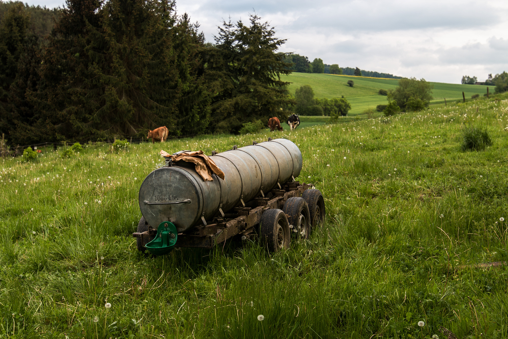 Canon EOS 70D + Canon EF 300mm f/2.8L sample photo. Grasslands melsungen photography