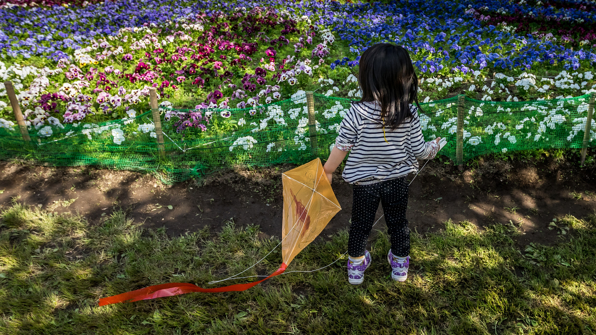 Sony a7 II + Canon EF 17-40mm F4L USM sample photo. Waiting for the wind photography