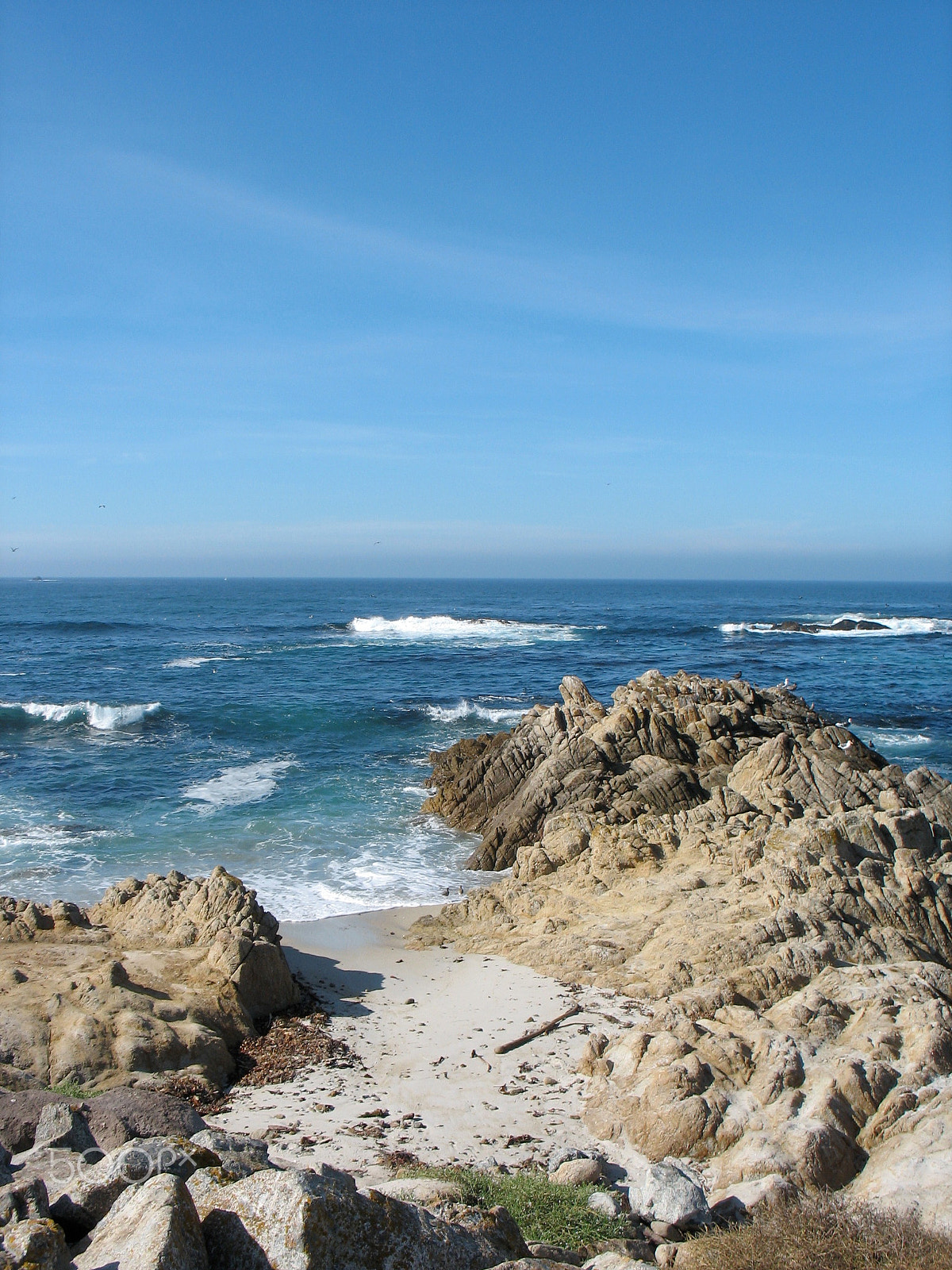 Canon POWERSHOT A610 sample photo. Asilomar beach photography