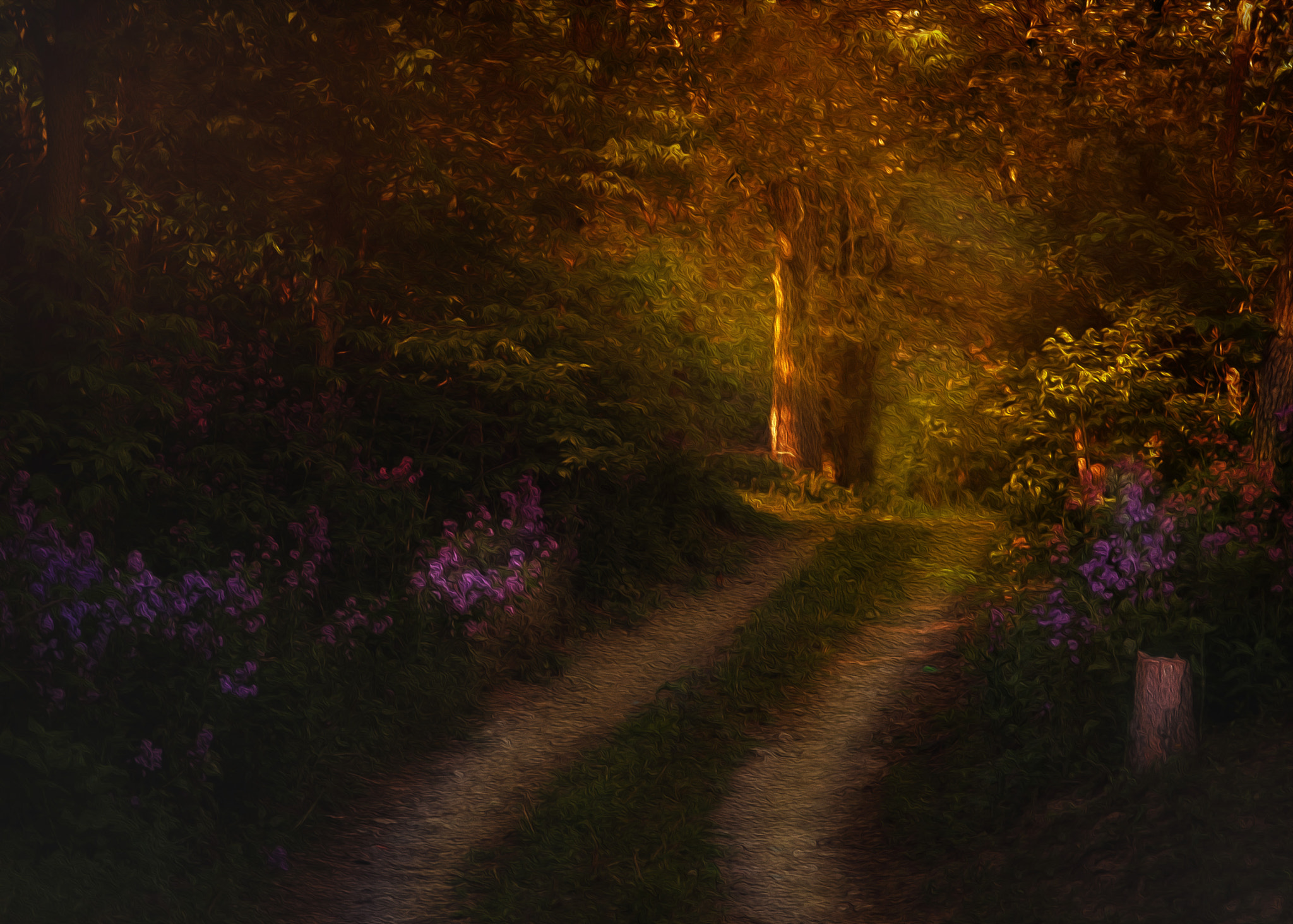 AF Zoom-Nikkor 80-200mm f/2.8 ED sample photo. Last walk photography