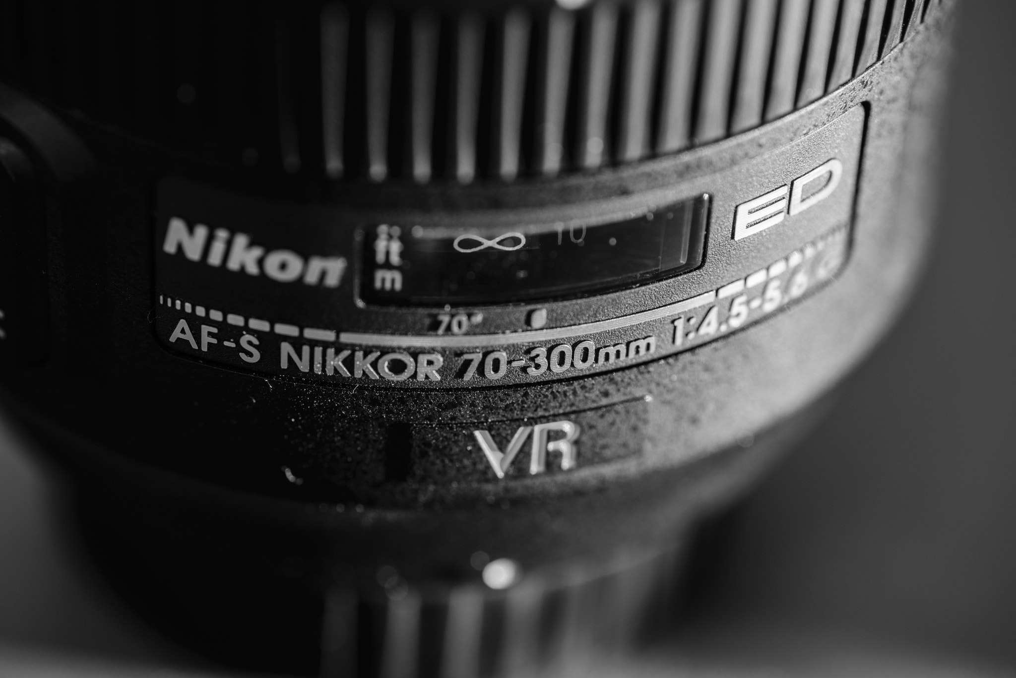 Tamron SP AF 90mm F2.8 Di Macro sample photo. Nikon 70-300 photography