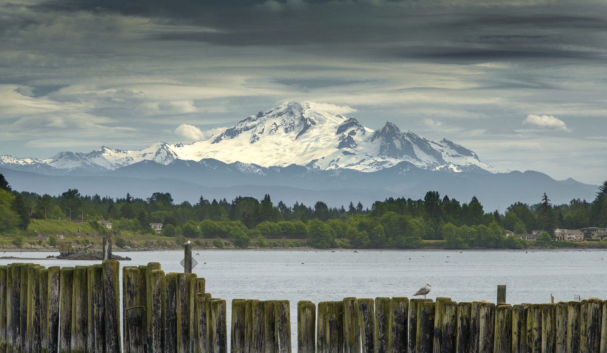 AF-S Zoom-Nikkor 80-200mm f/2.8D IF-ED sample photo. Mt baker photography