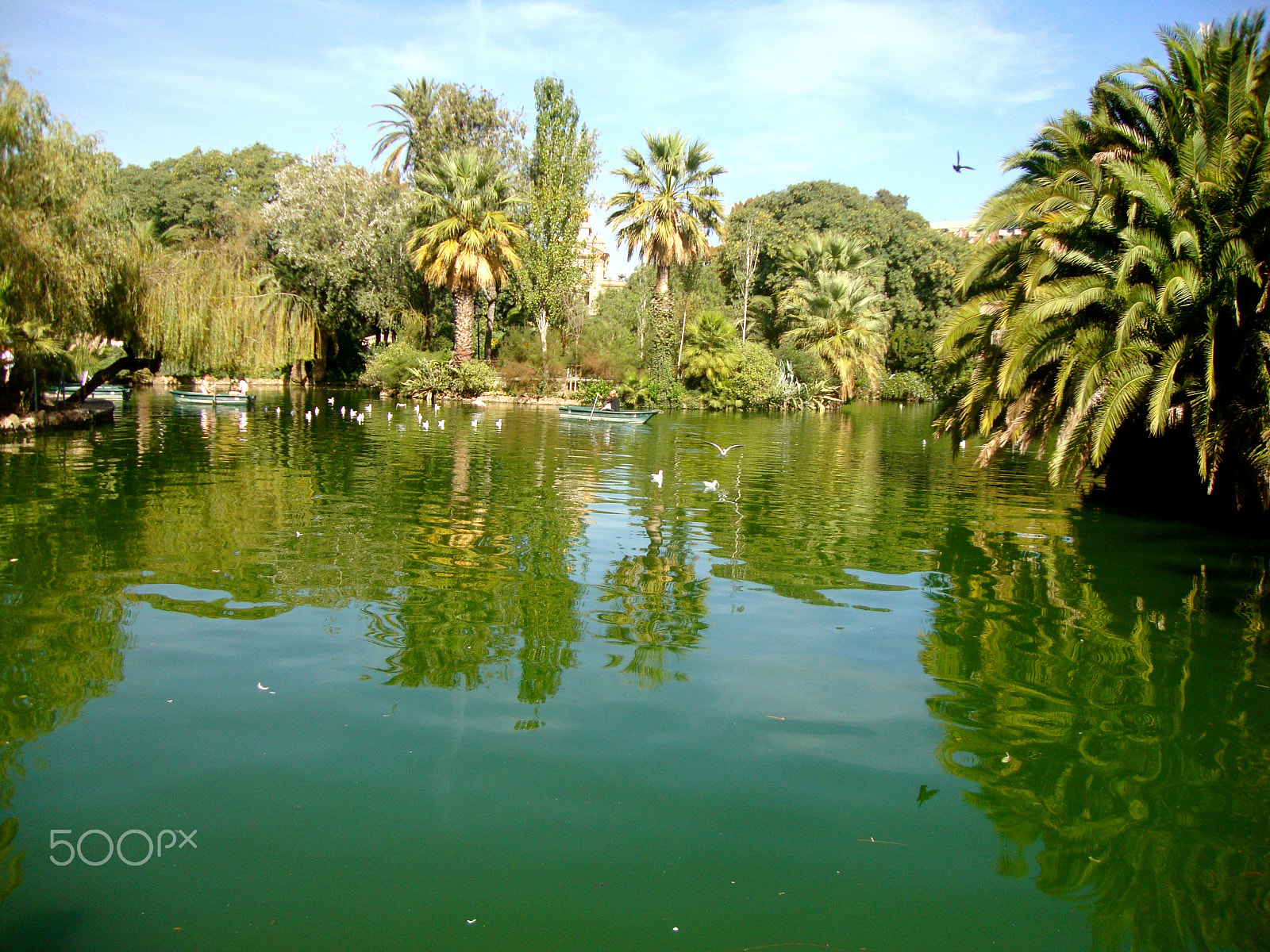Sony Cyber-shot DSC-W220 sample photo. Barcelona pond photography
