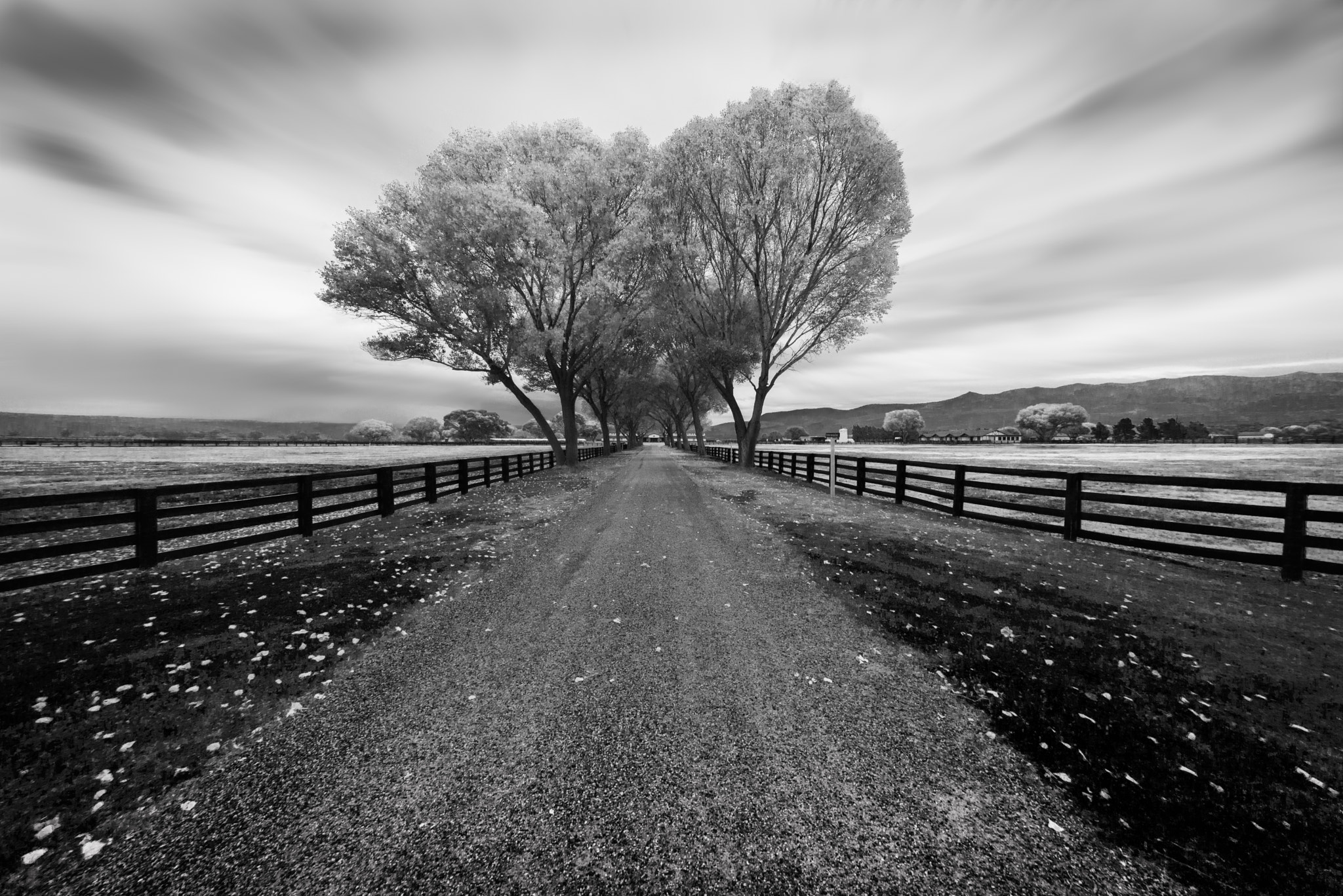 Nikon D600 + Sigma 15mm F2.8 EX DG Diagonal Fisheye sample photo. The way photography