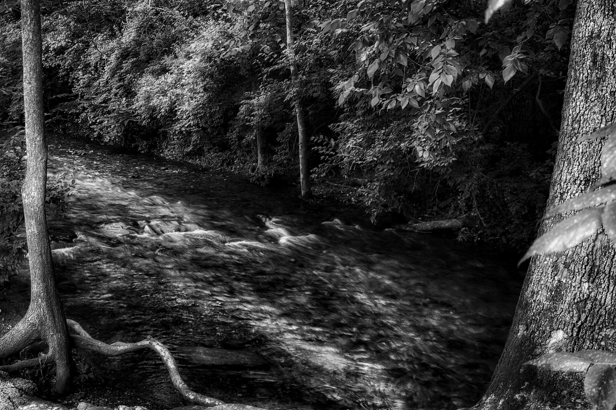 Canon EF-S 18-55mm F3.5-5.6 IS sample photo. Repost after some tweaking, let me know what you think. photography