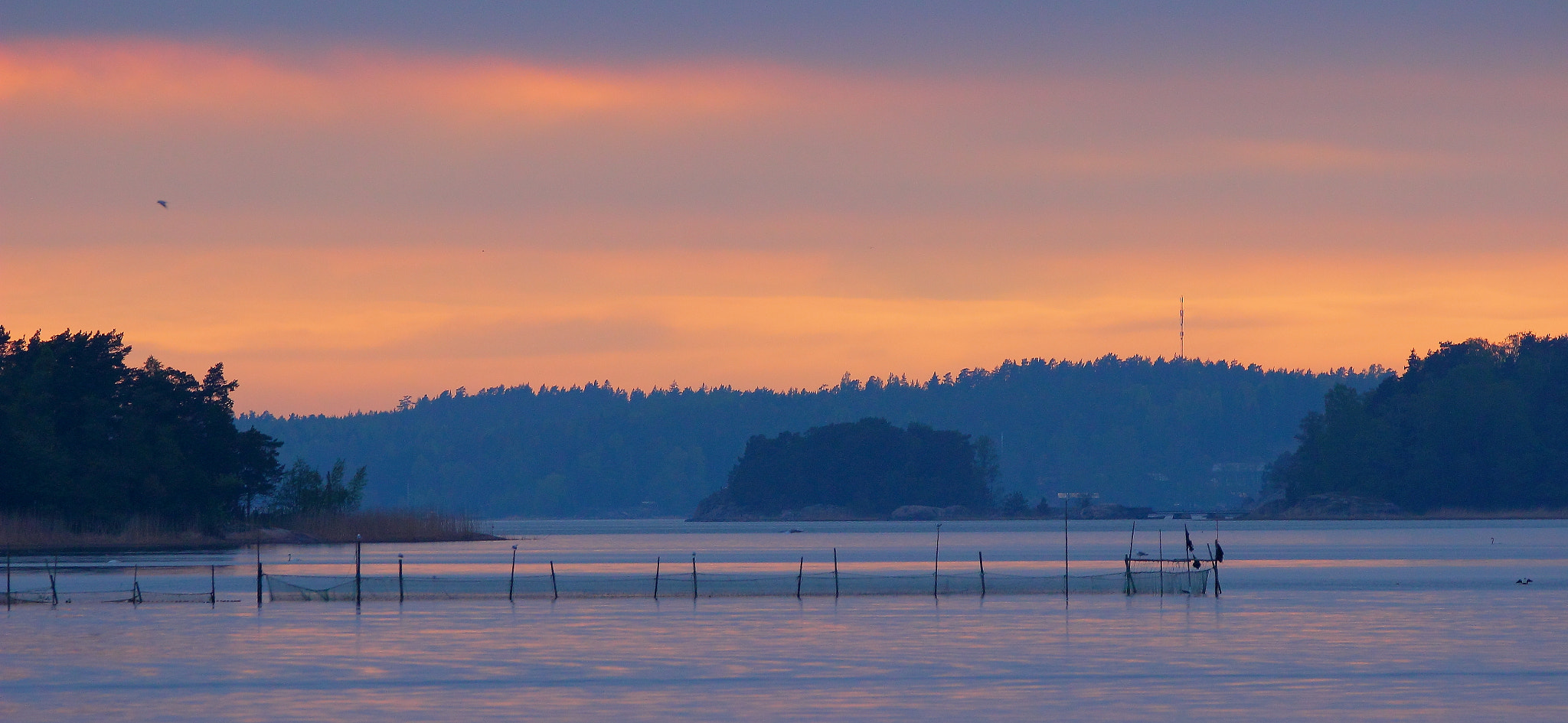 Sigma 150-600mm F5-6.3 DG OS HSM | C sample photo. Sunset on airisto photography