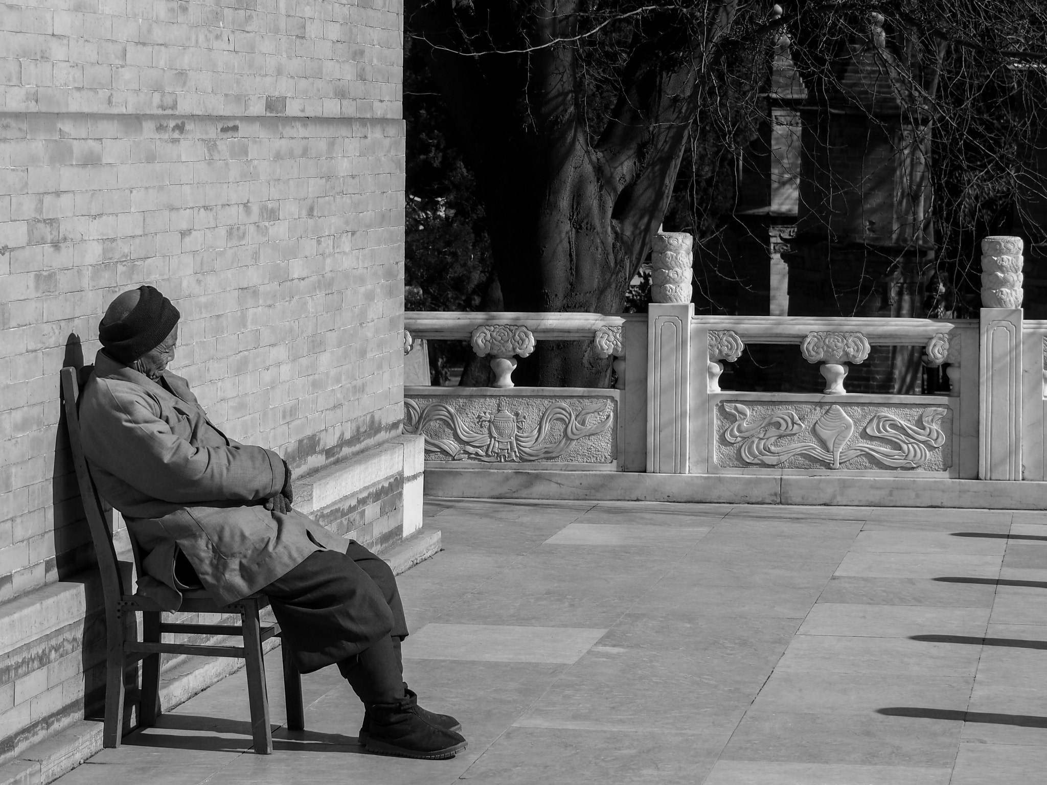 Olympus OM-D E-M5 II sample photo. Taking a rest photography