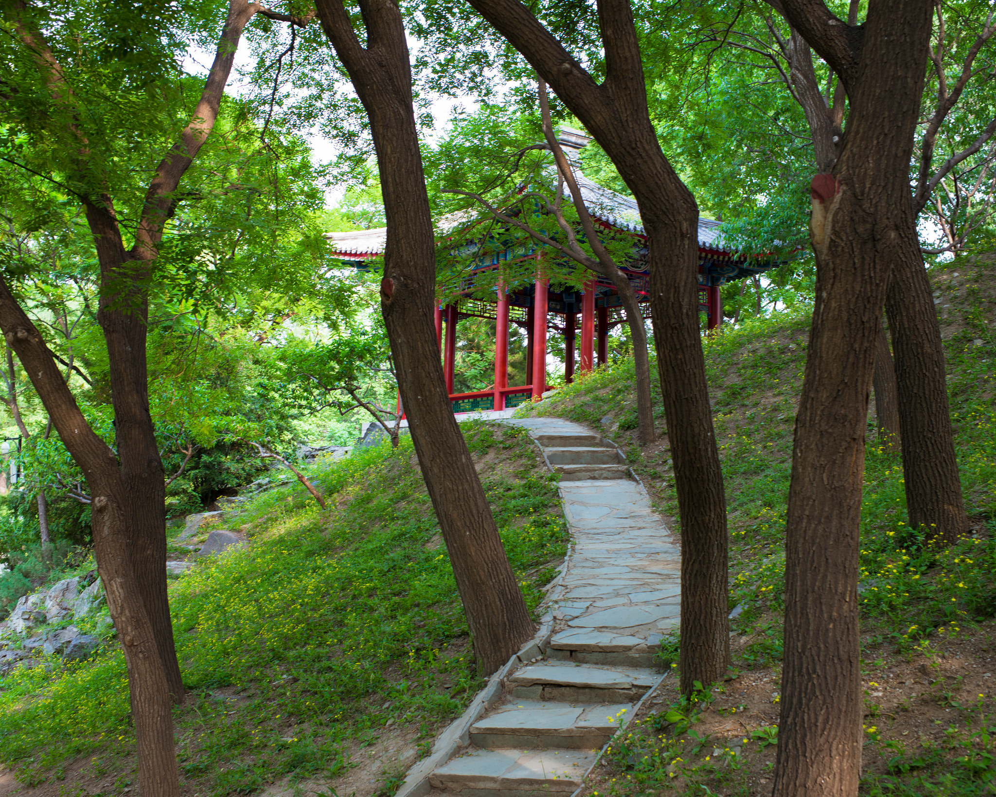 Leica Summarit-M 35mm F2.4 ASPH sample photo. Yuan ming yuan photography