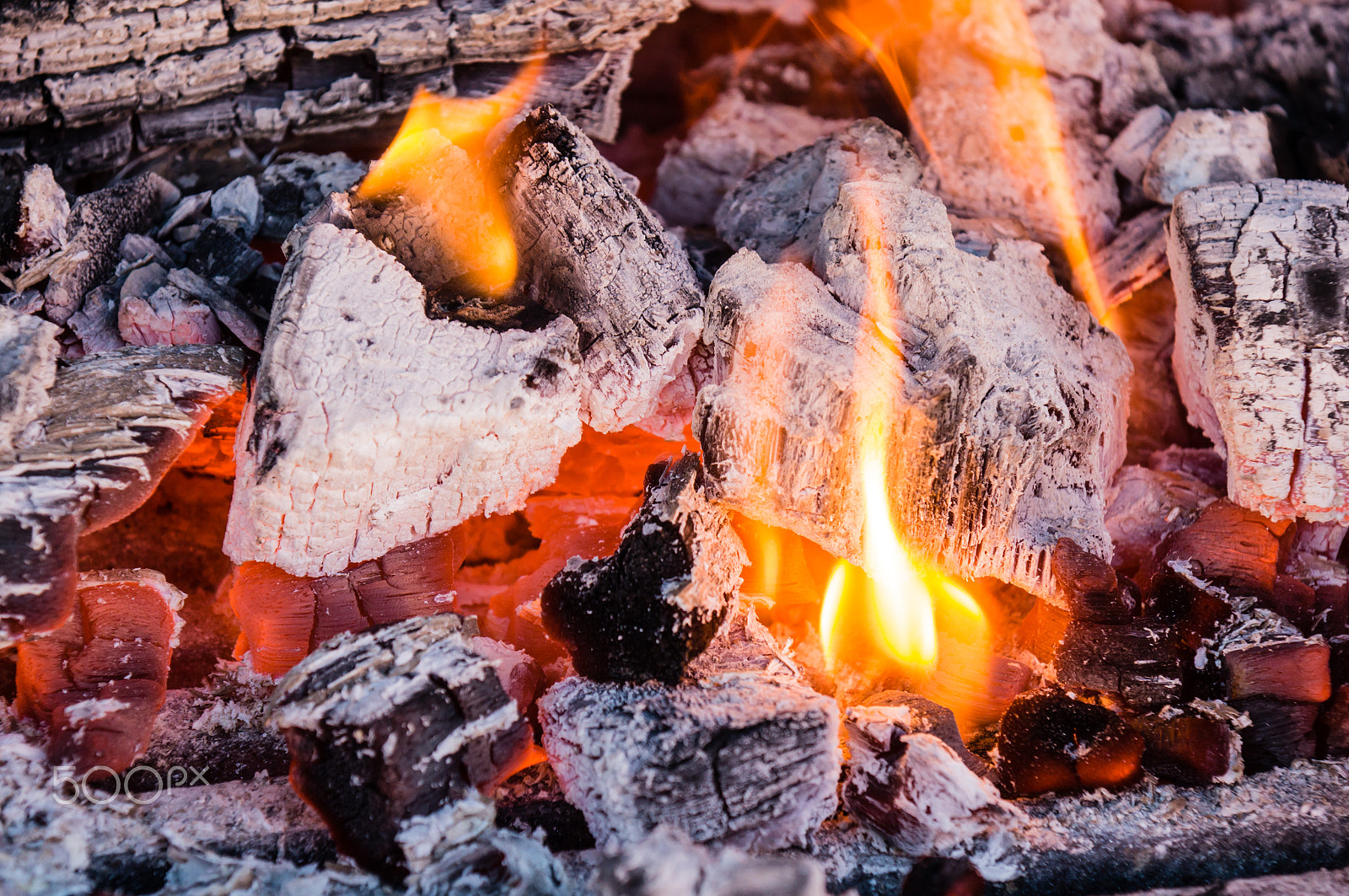 Sony DT 16-105mm F3.5-5.6 sample photo. Barbecue photography