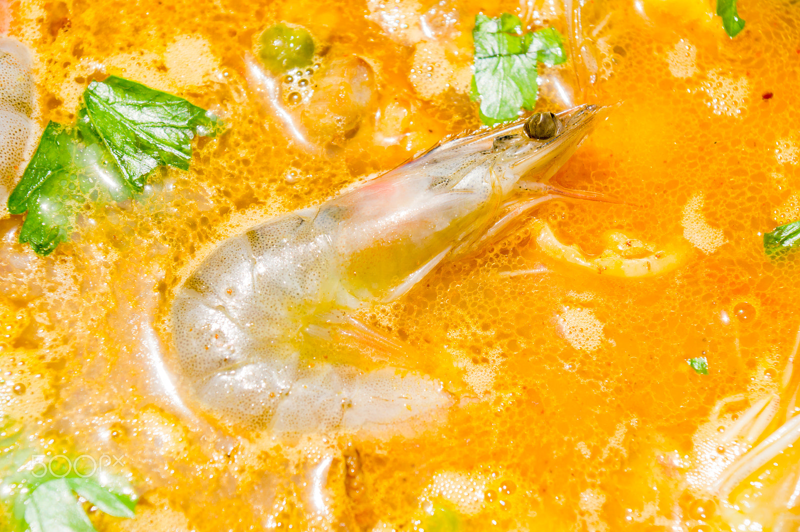 Sony DT 16-105mm F3.5-5.6 sample photo. Paella photography