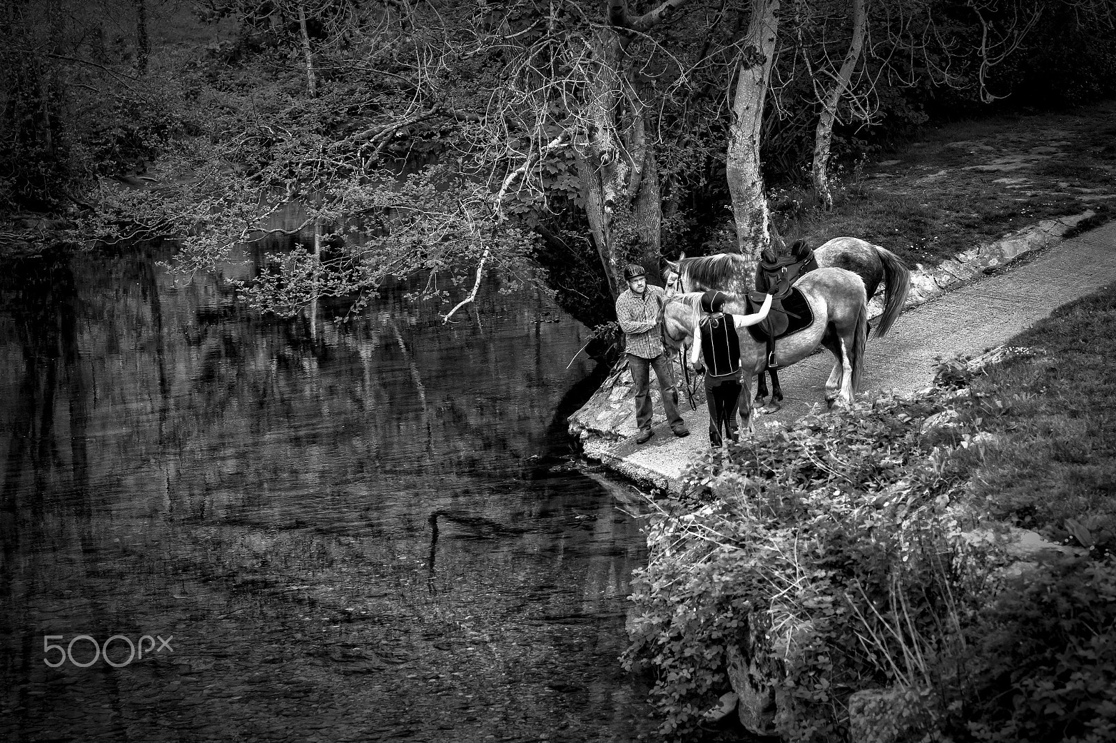 Leica Summarit-M 90mm F2.5 sample photo. Lead a horse to water ......... photography