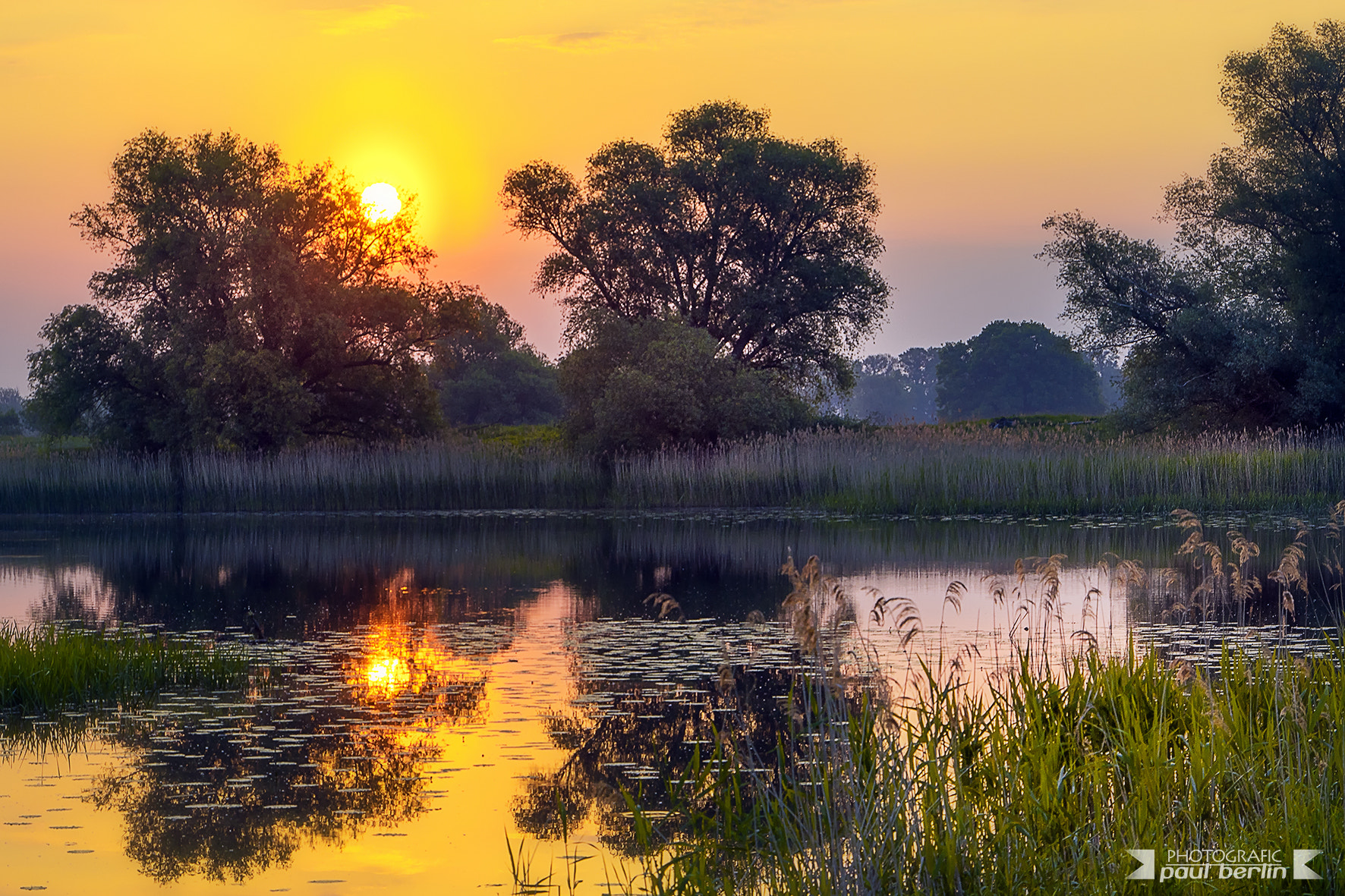 Sony E 18-200mm F3.5-6.3 OSS sample photo. National park in the morning photography