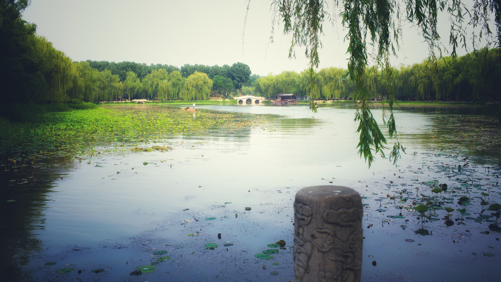 Leica Summarit-M 35mm F2.4 ASPH sample photo. Yuan ming yuan photography