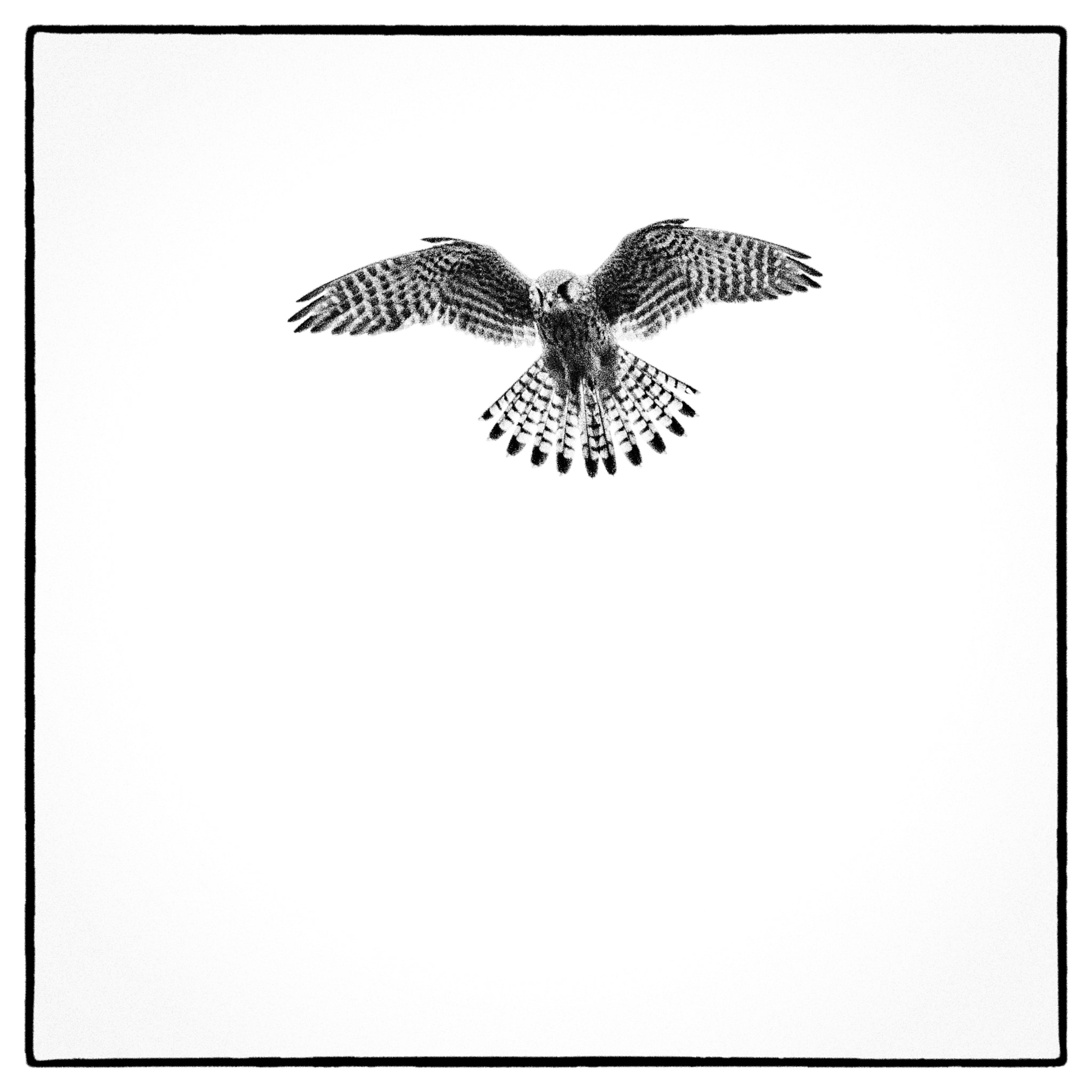 Hasselblad H5D sample photo. In the air photography