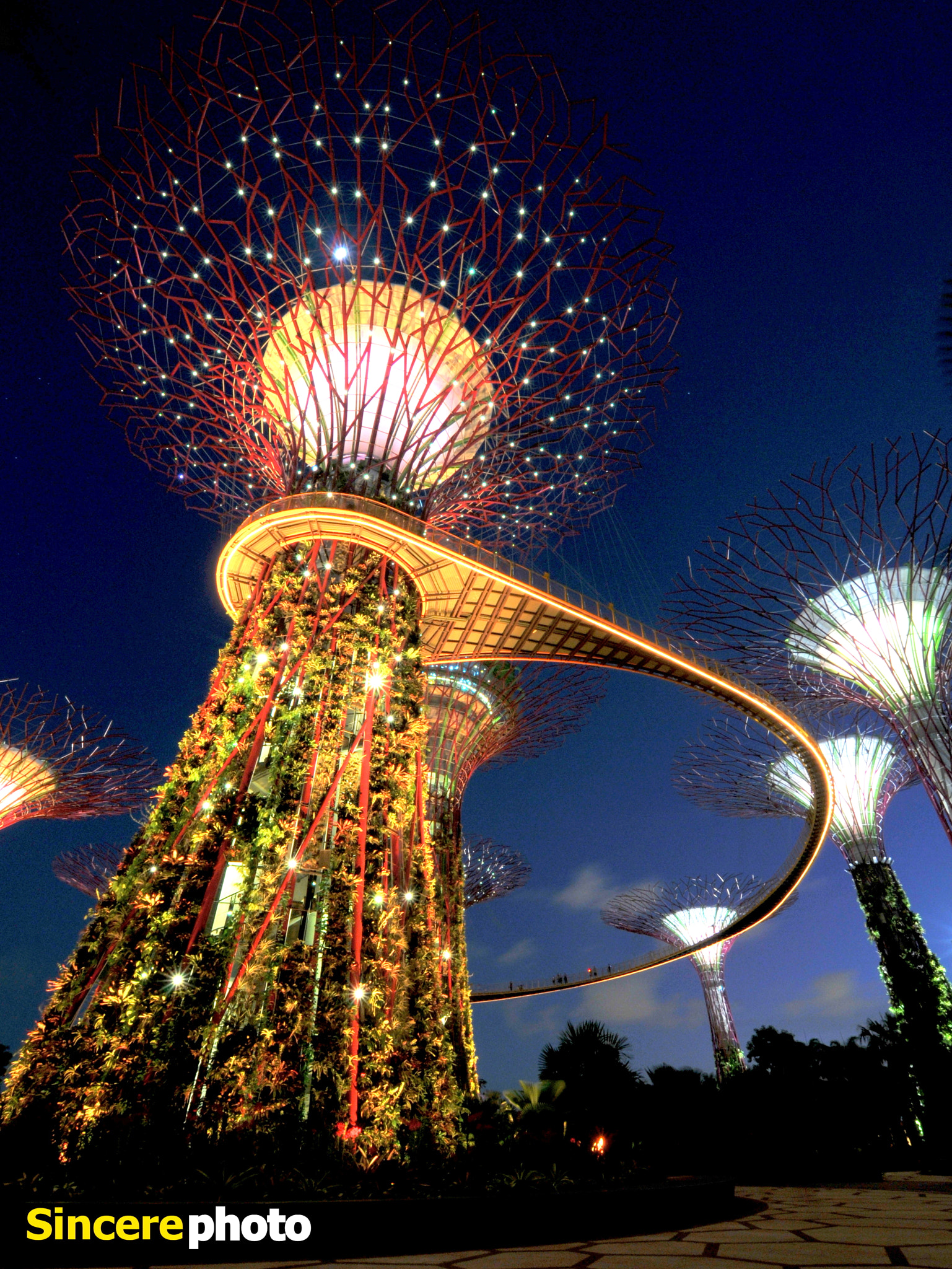 Nikon D300S + Sigma 10-20mm F3.5 EX DC HSM sample photo. Gardens by the bay singapore photography