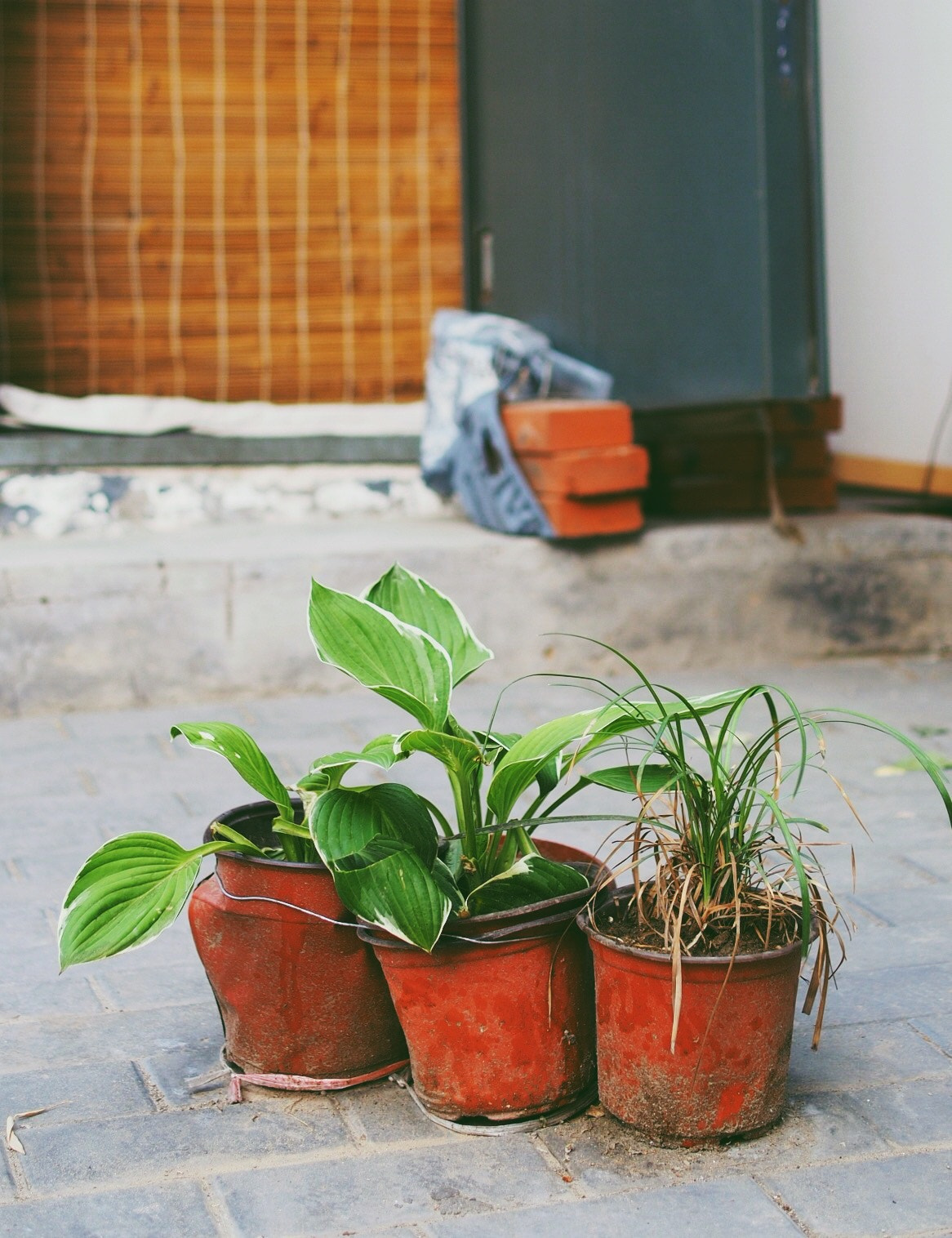 Olympus PEN E-P5 sample photo