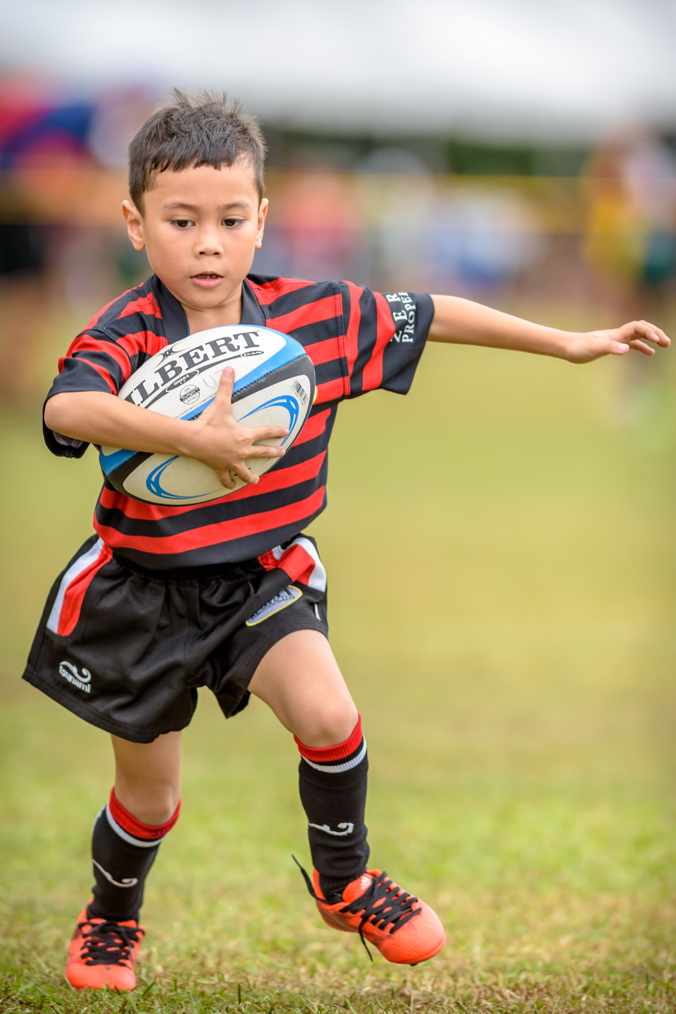 Nikon AF-S Nikkor 300mm F2.8G ED-IF VR sample photo