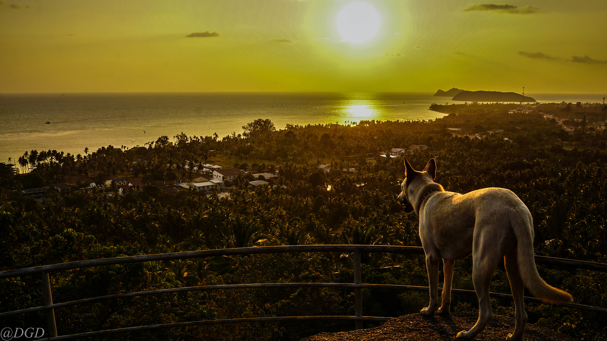 Sony a5100 + Sigma 19mm F2.8 EX DN sample photo. I am not alone enjoying photography