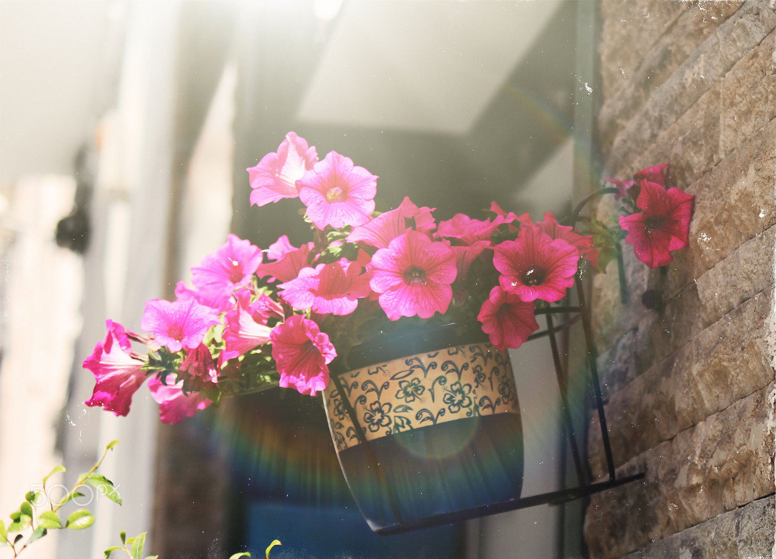 Canon EF 28-90mm f/4-5.6 sample photo. Spring flowers photography