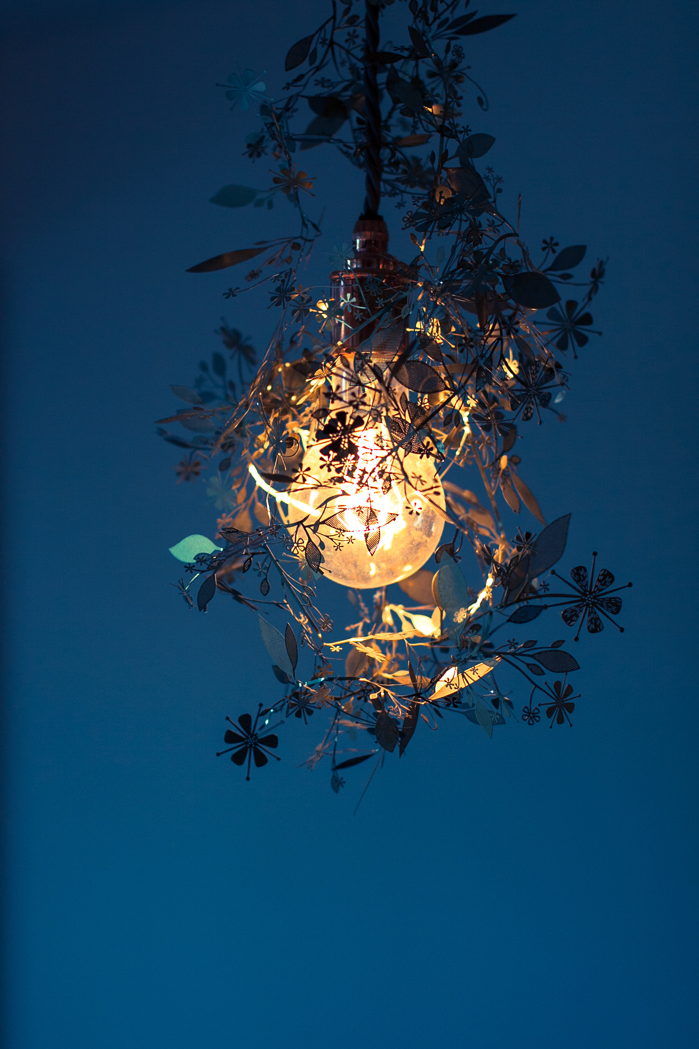 Canon EOS 50D + Canon EF 50mm F1.4 USM sample photo. Light photography