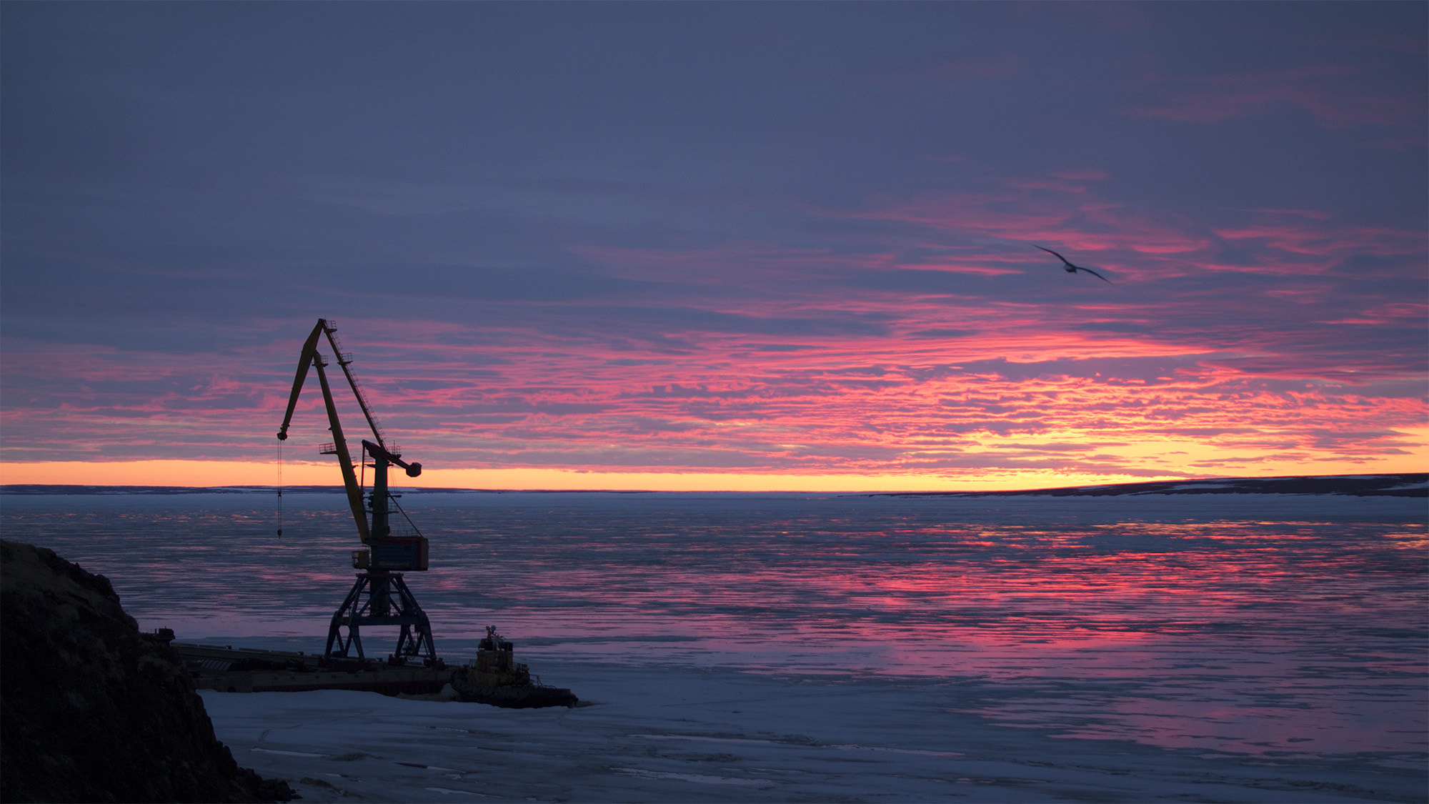 Tamron SP AF 60mm F2 Di II LD IF Macro sample photo. Chukotka photography