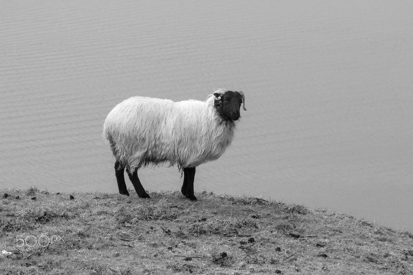 Sigma 18-125mm F3.8-5.6 DC OS HSM sample photo. Solitaire photography