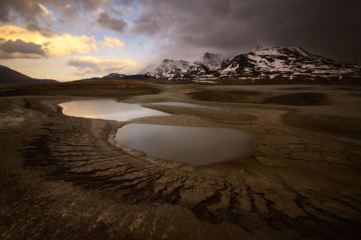 Nikon D800 + Tokina AT-X 16-28mm F2.8 Pro FX sample photo. Alien world on earth photography