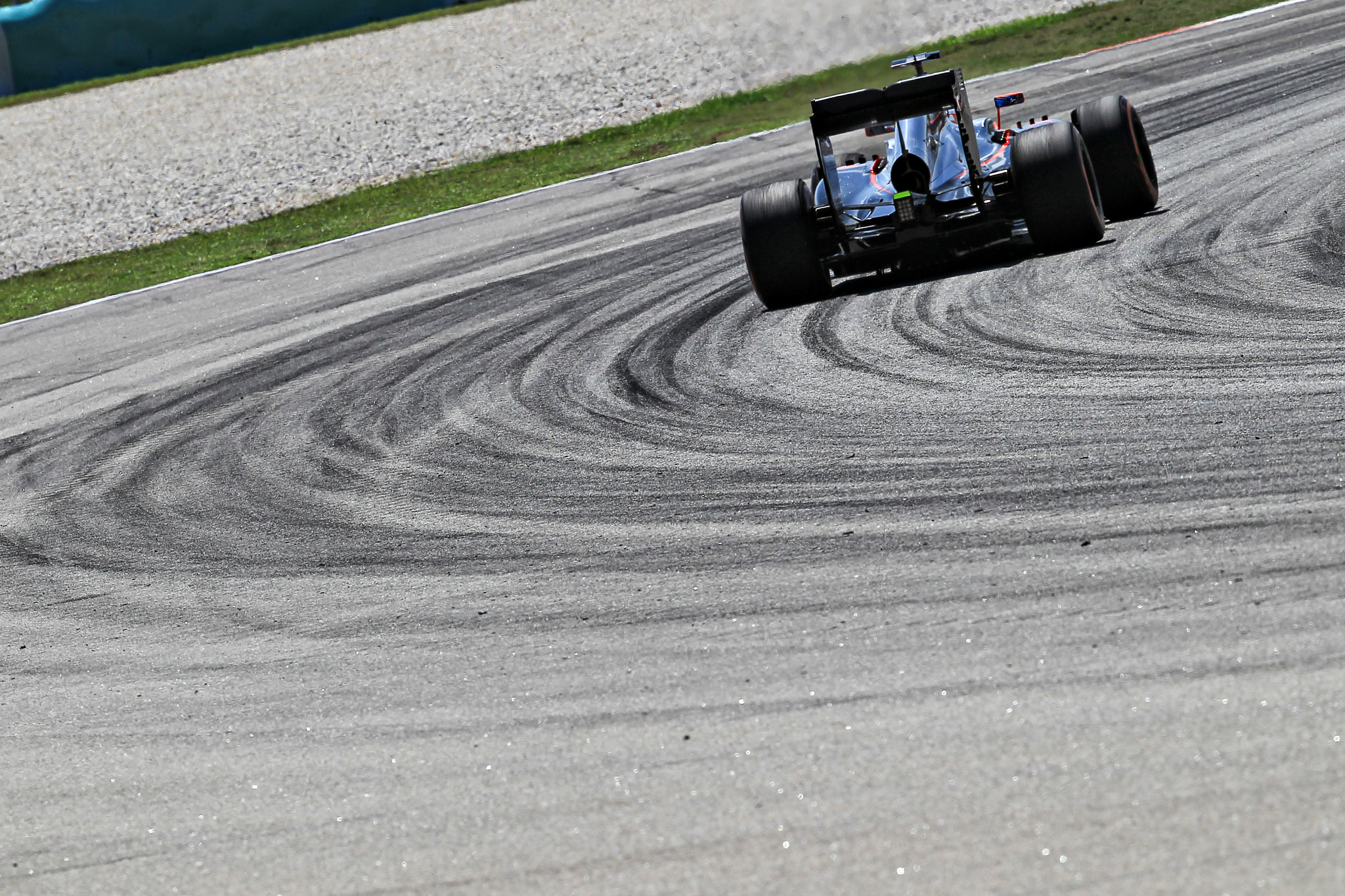 Canon EF 200-400mm F4L IS USM Extender 1.4x sample photo. Fernando alonso photography
