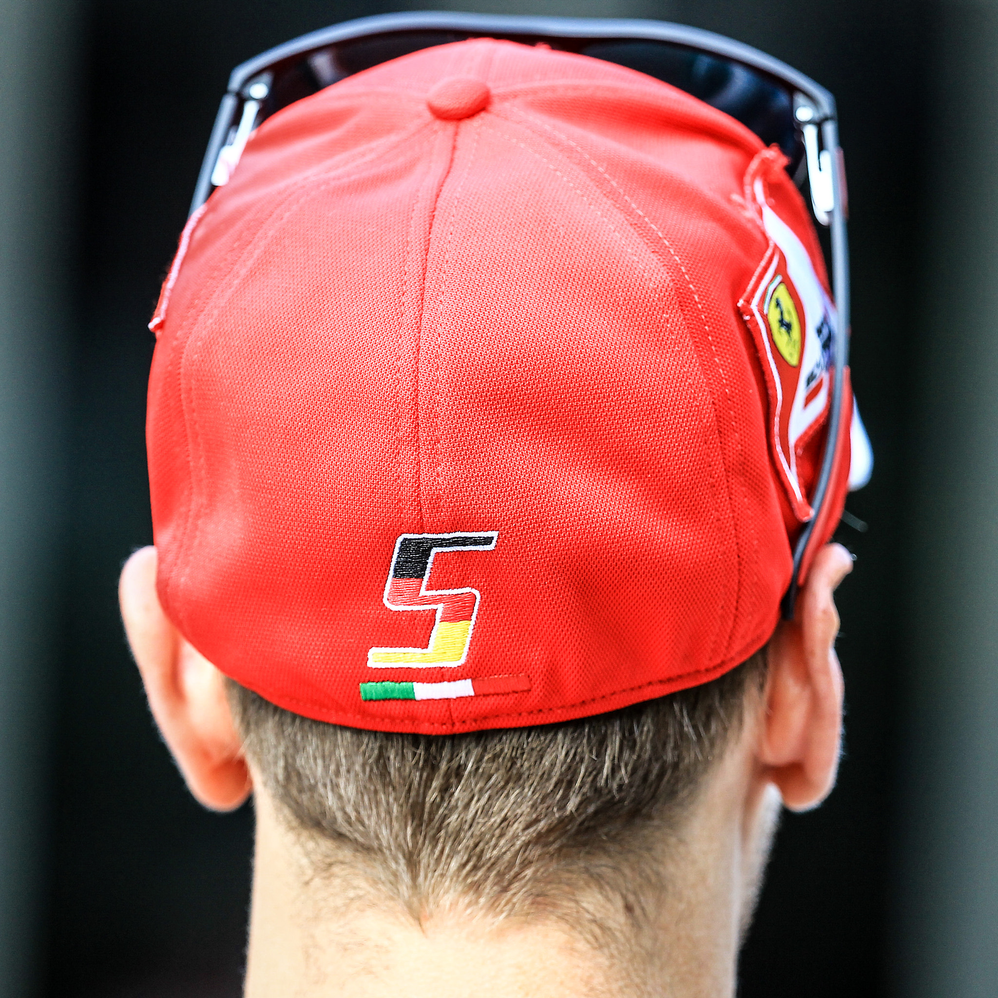 Canon EF 200-400mm F4L IS USM Extender 1.4x sample photo. Sebastian vettel photography