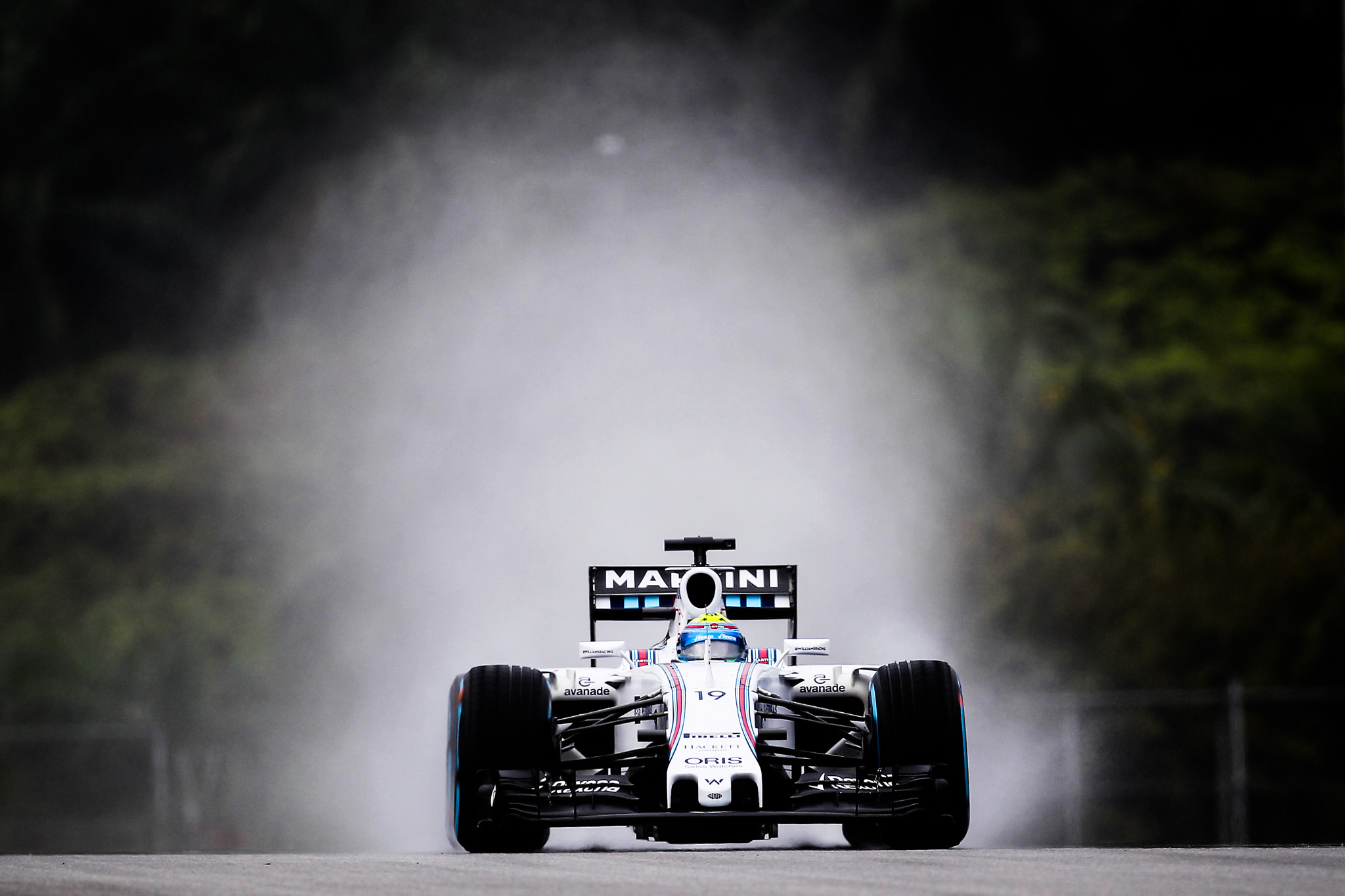 Canon EF 200-400mm F4L IS USM Extender 1.4x sample photo. Felipe massa photography