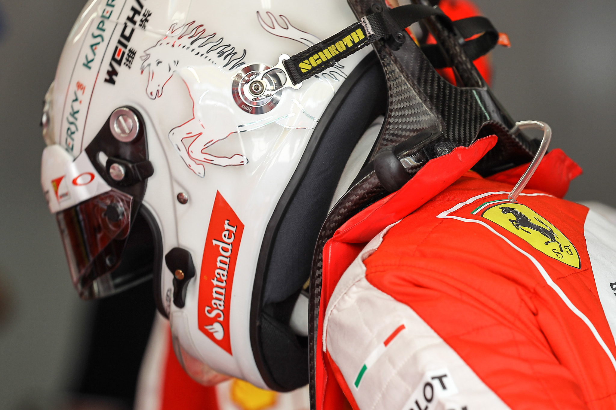 Canon EF 200-400mm F4L IS USM Extender 1.4x sample photo. Sebastian vettel photography