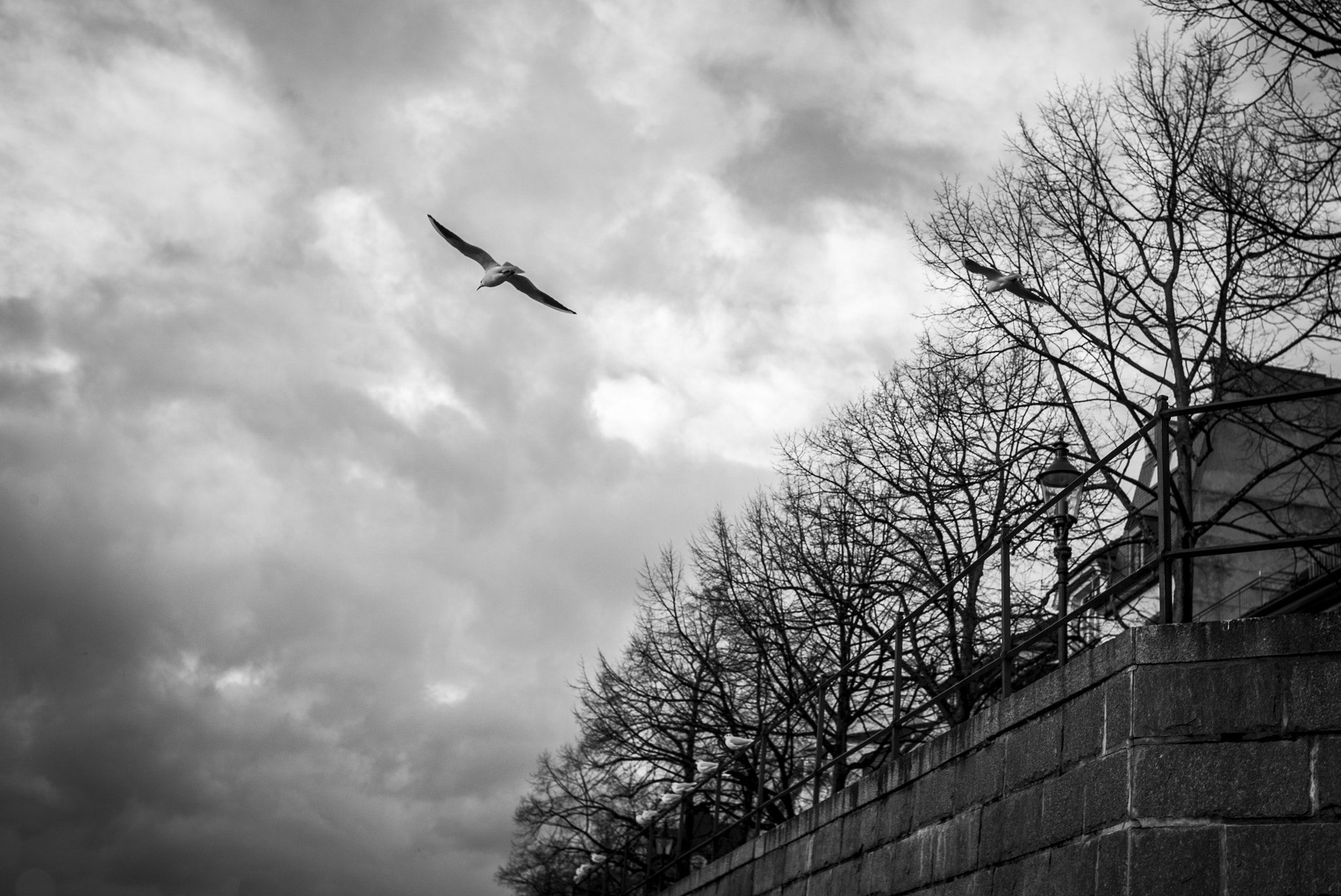 Summicron-M 1:2/35 sample photo. Things photography