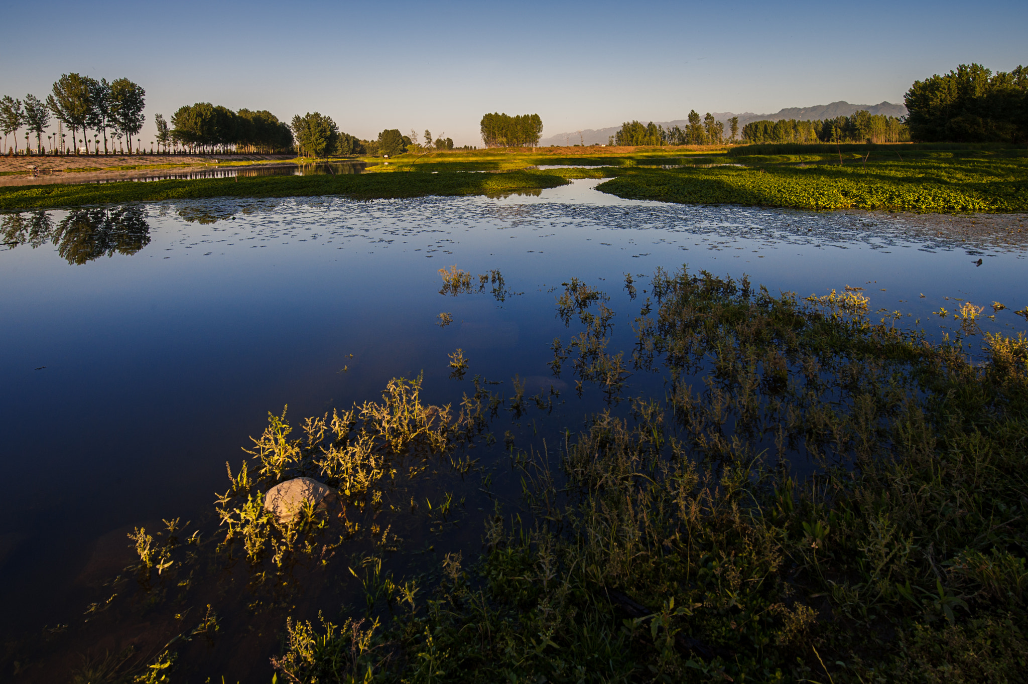 Tamron SP 15-30mm F2.8 Di VC USD sample photo. Wetland photography
